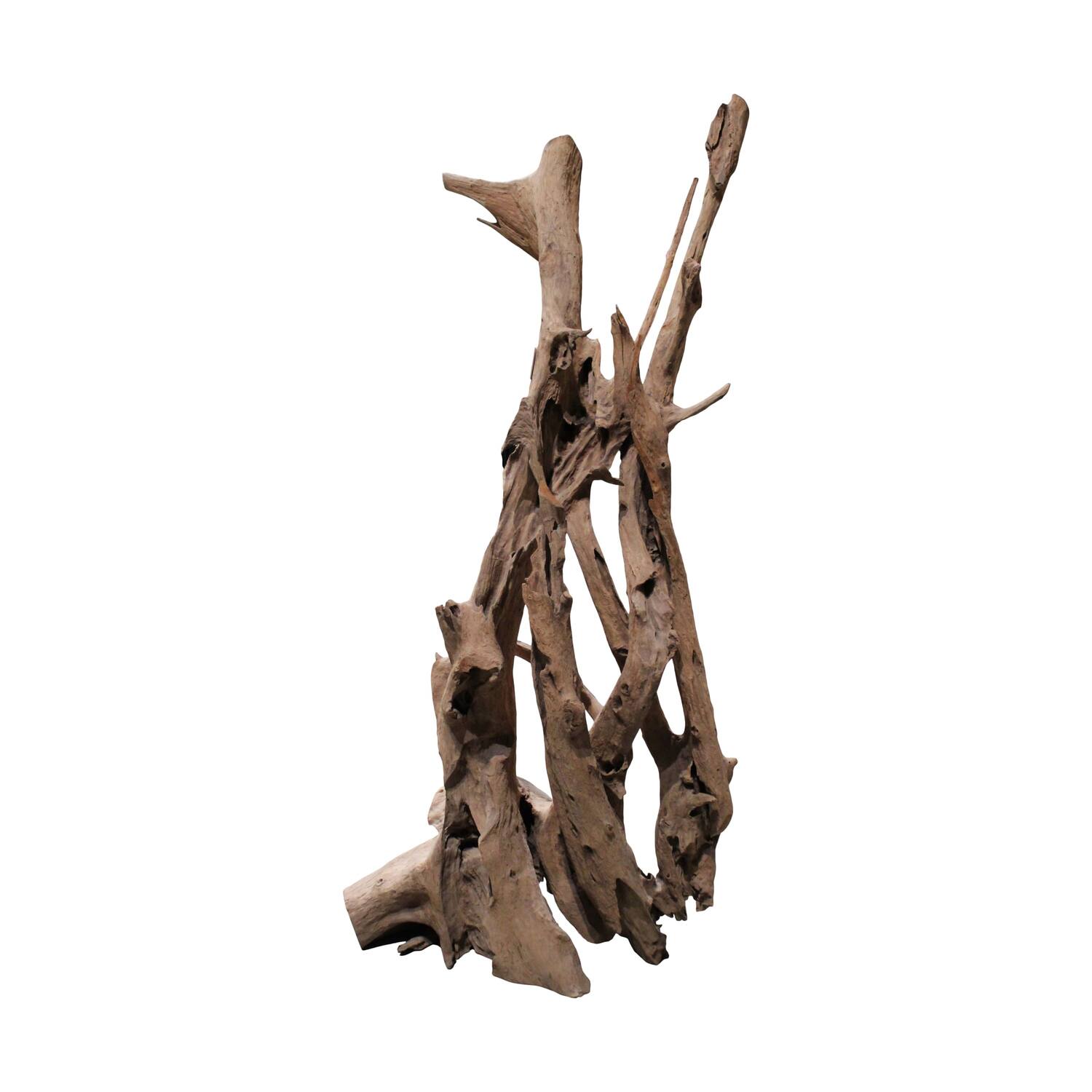 Root teak wood 70x50x155cm