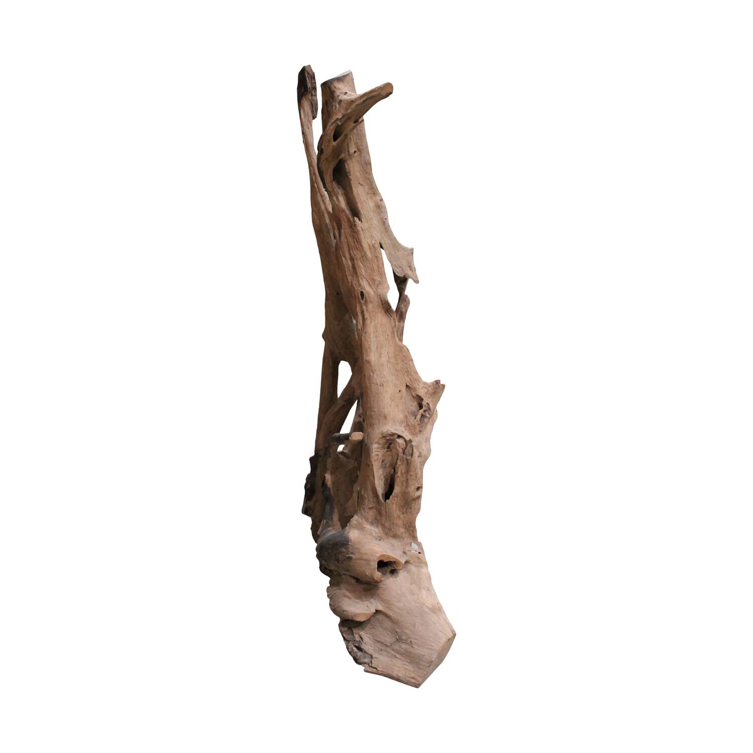 Root teak wood 70x50x155cm