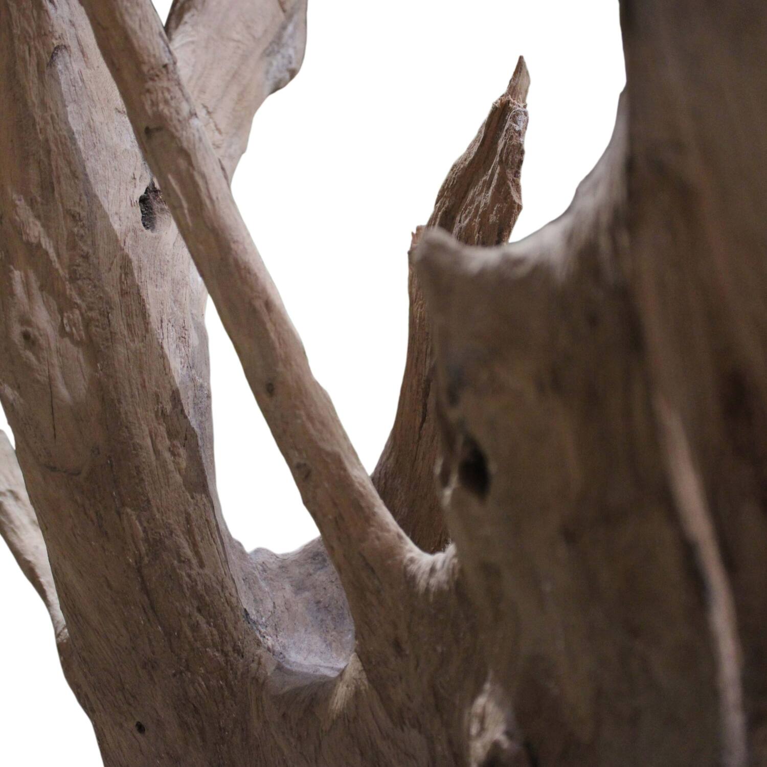 Root teak wood 70x50x155cm