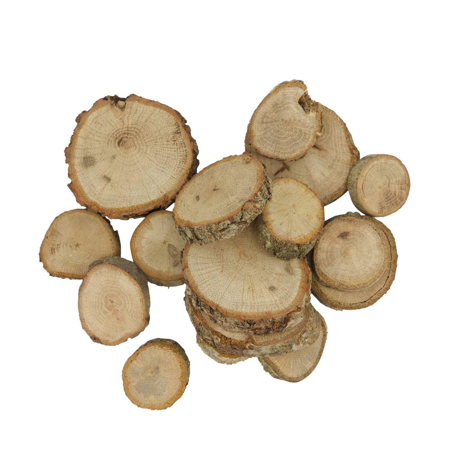 Bundle wood slices 250gr oak wood 10x5x21cm
