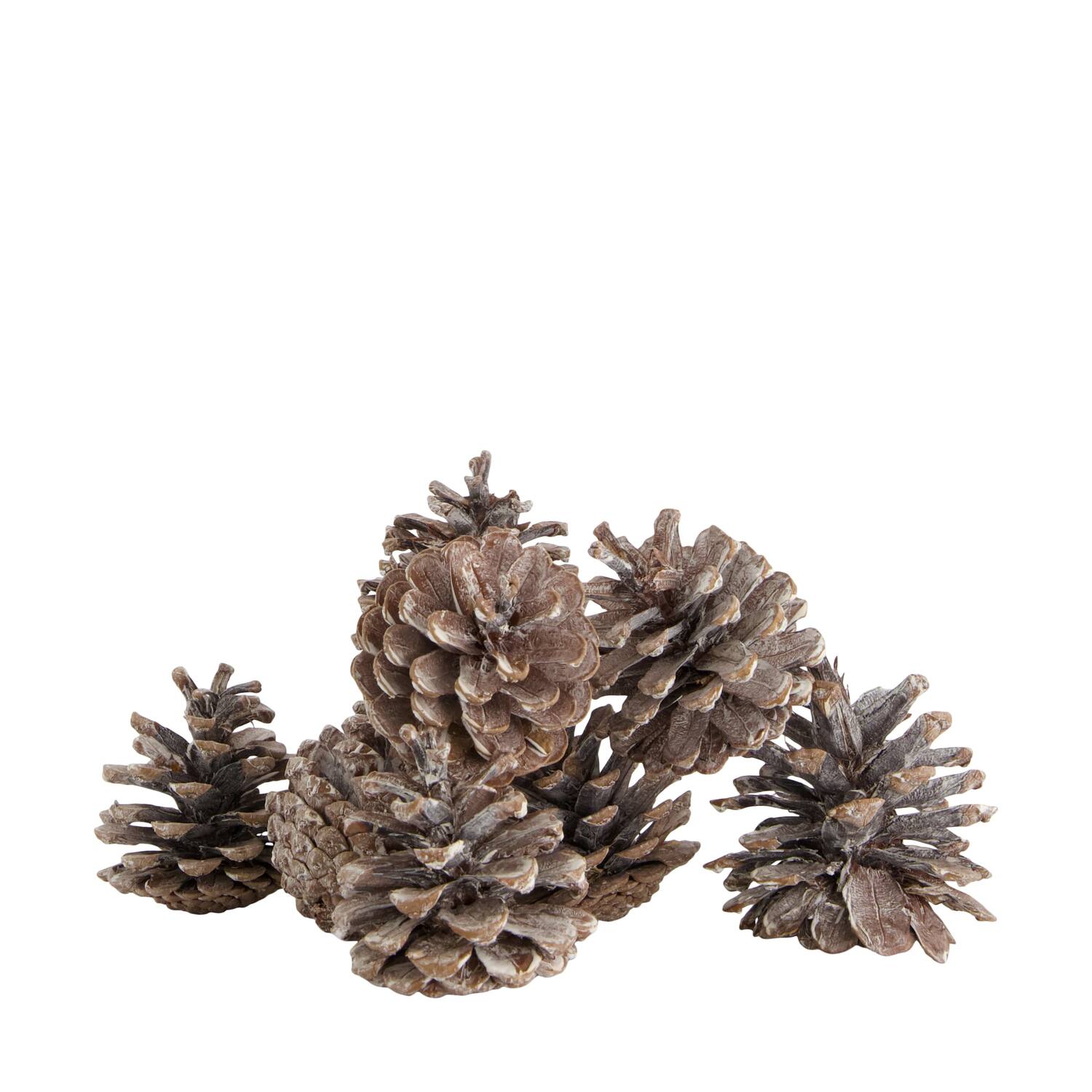 Pinecone 200gr nature 29x17x5.5cm