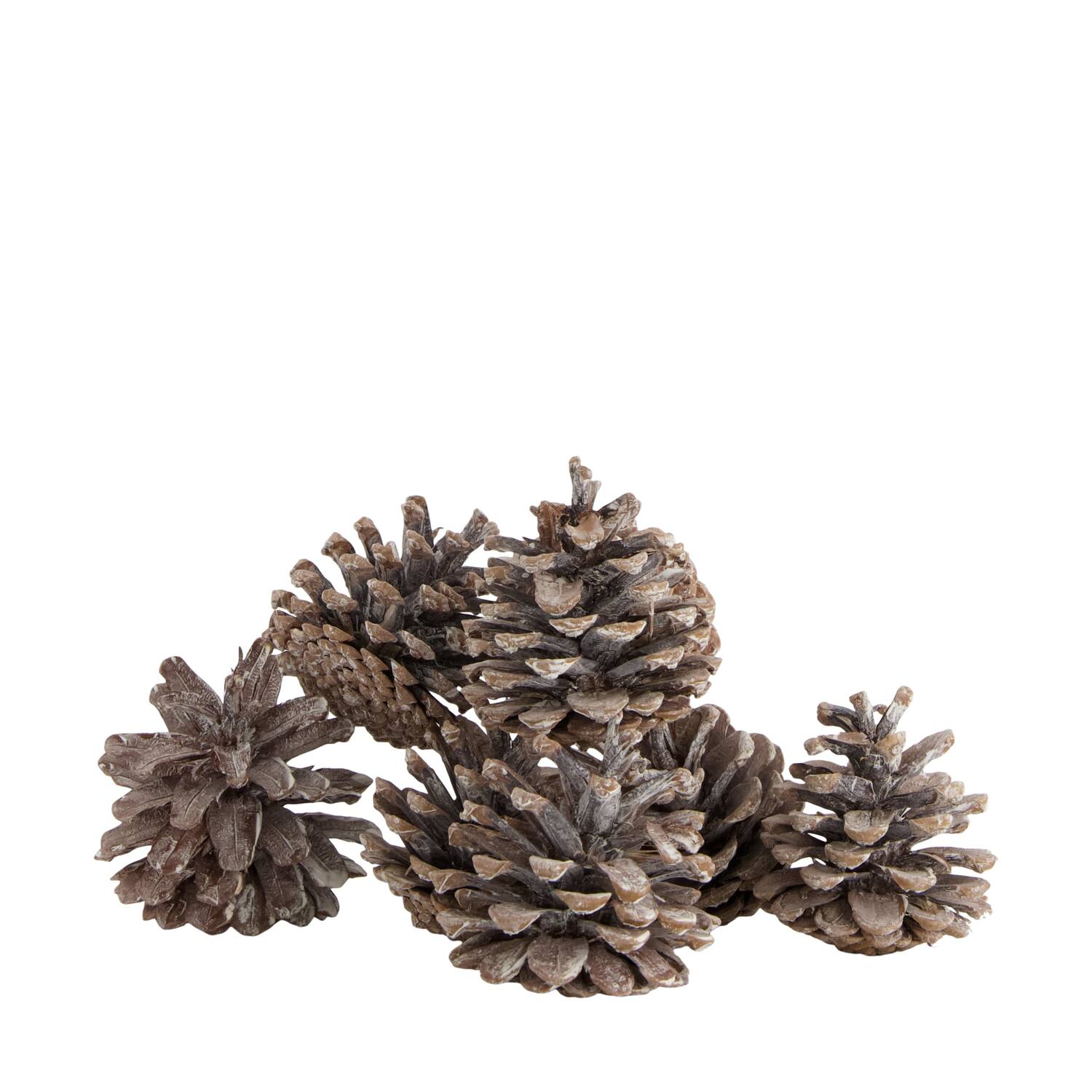 Pinecone 200gr nature 29x17x5.5cm