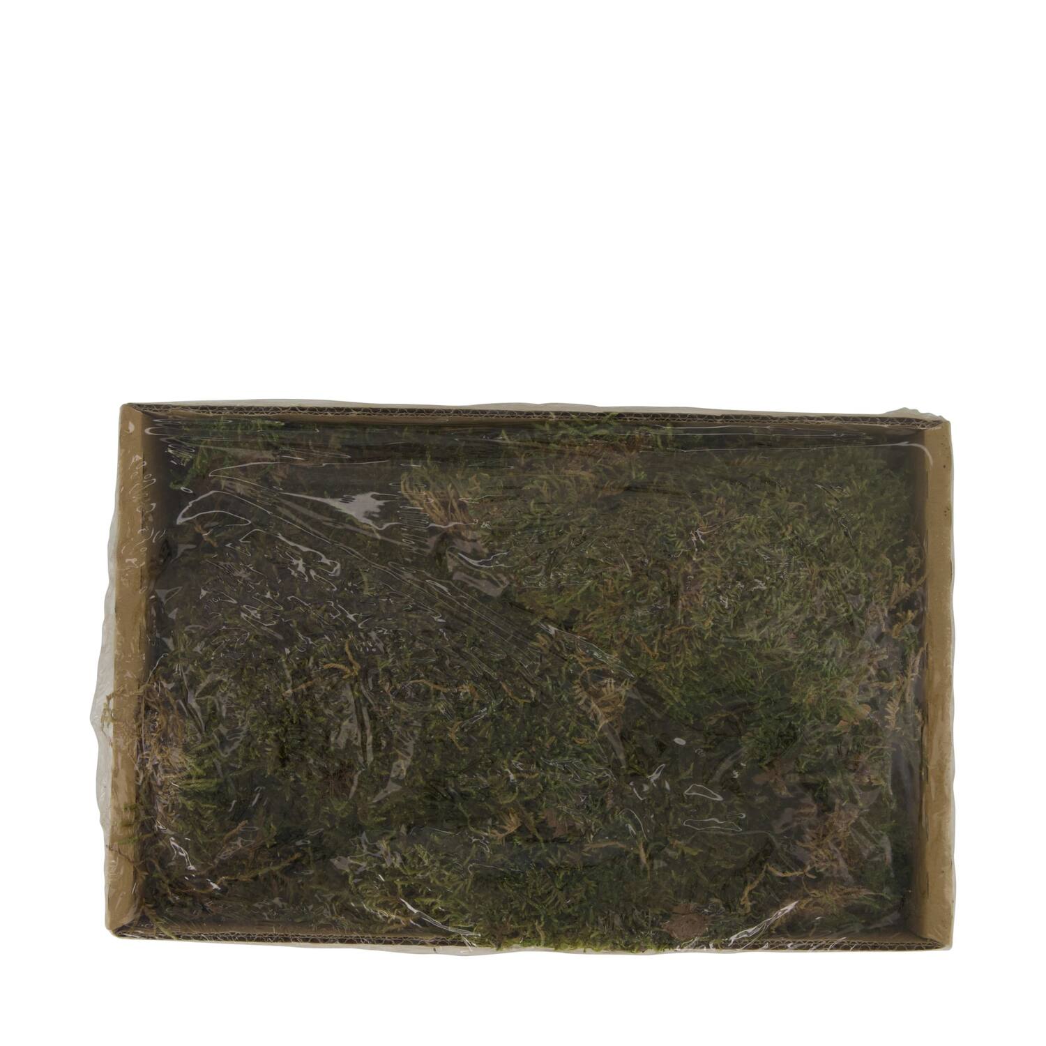 Moss flat 150gr box nature 30x19x9cm