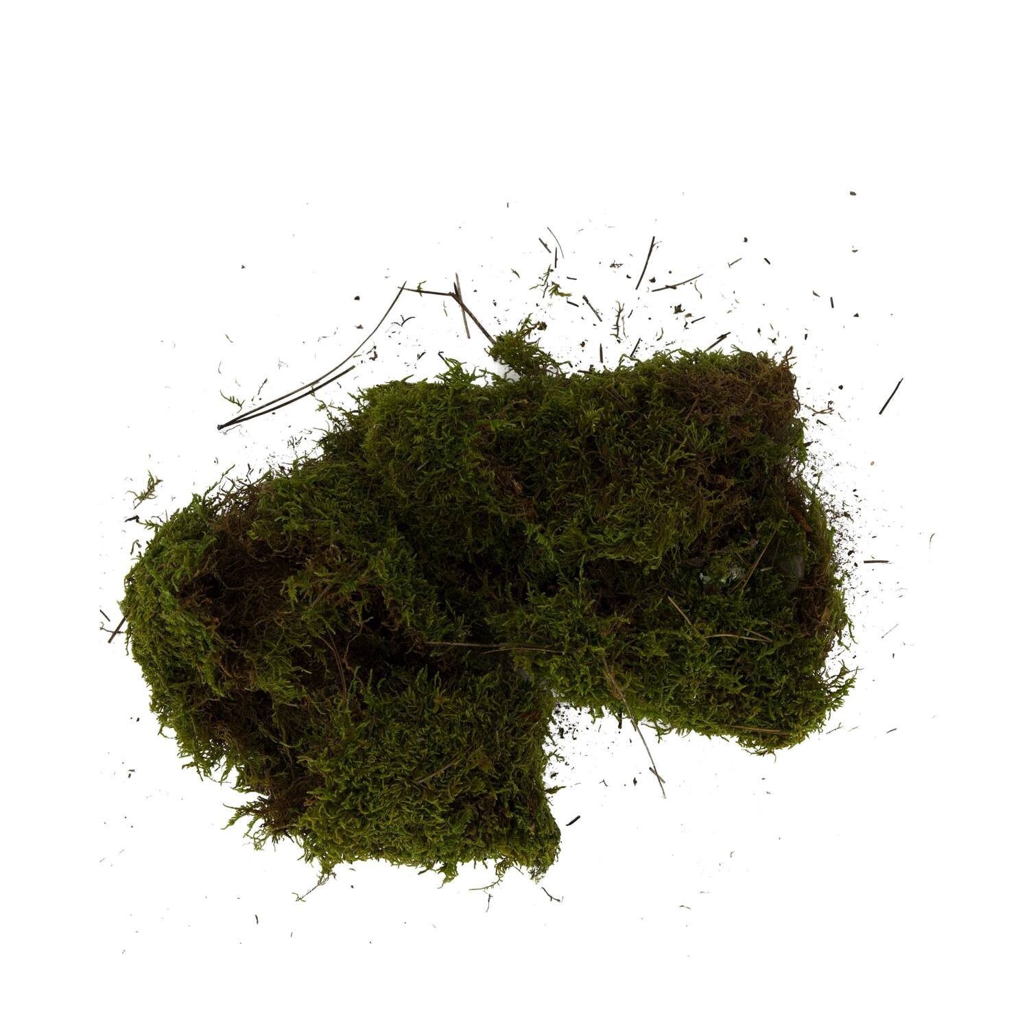 Moss flat 100gr nature 33x17x6cm