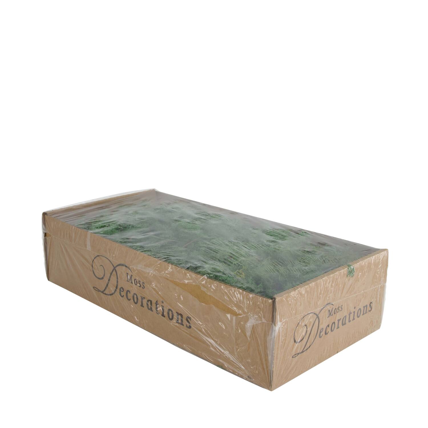Moss 500gr nature 48x35x24cm