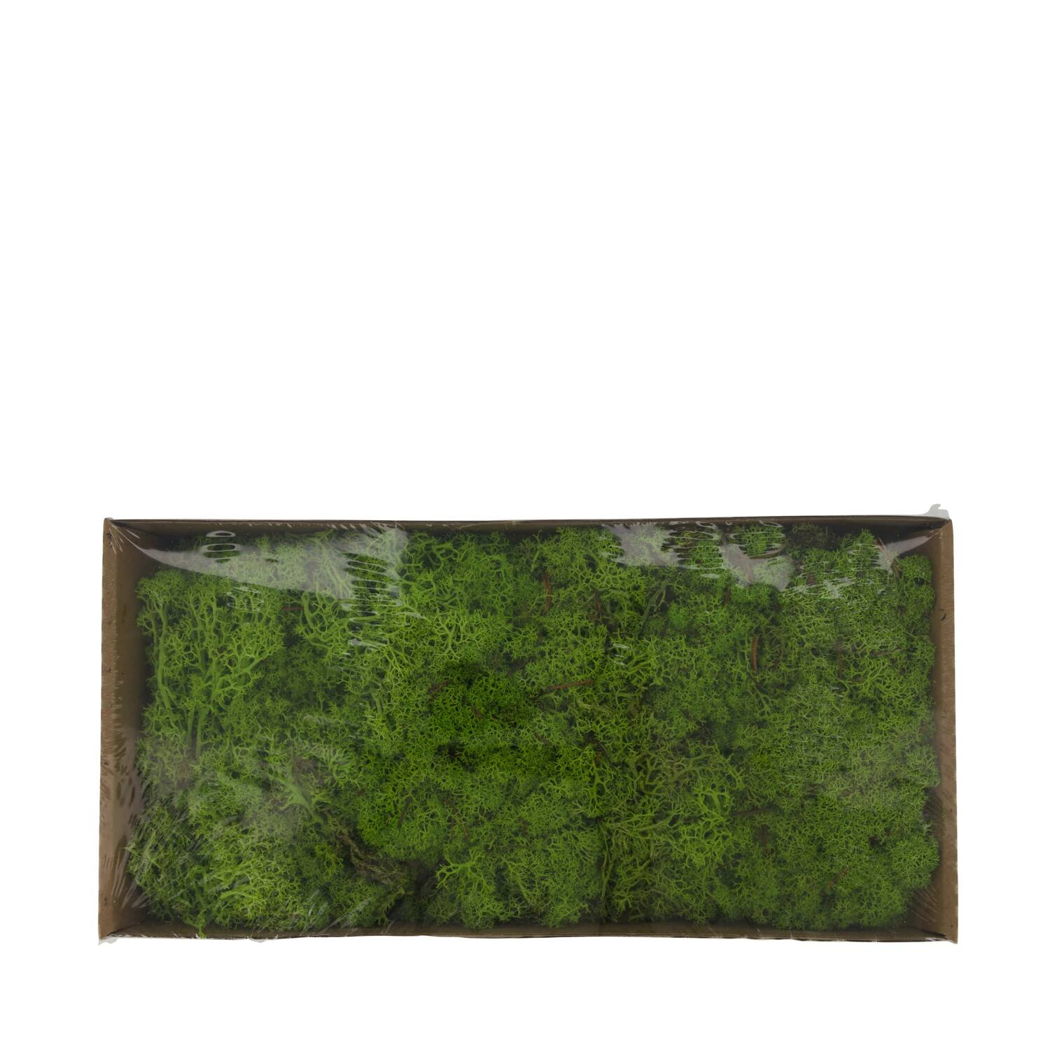 Mousse - 500gr - Naturel - 48x35x24cm - Vert