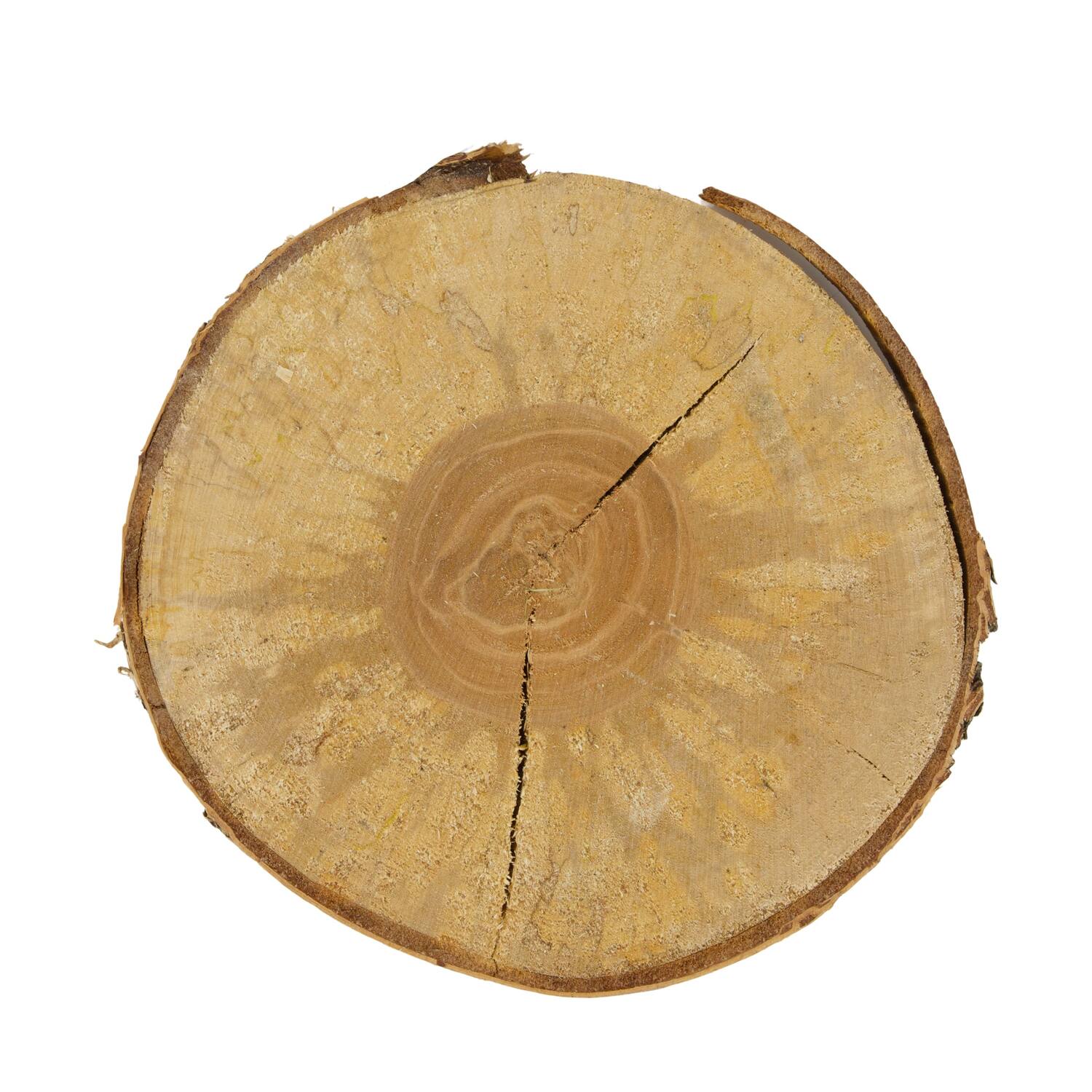Slice round birch 30x30x2.5cm