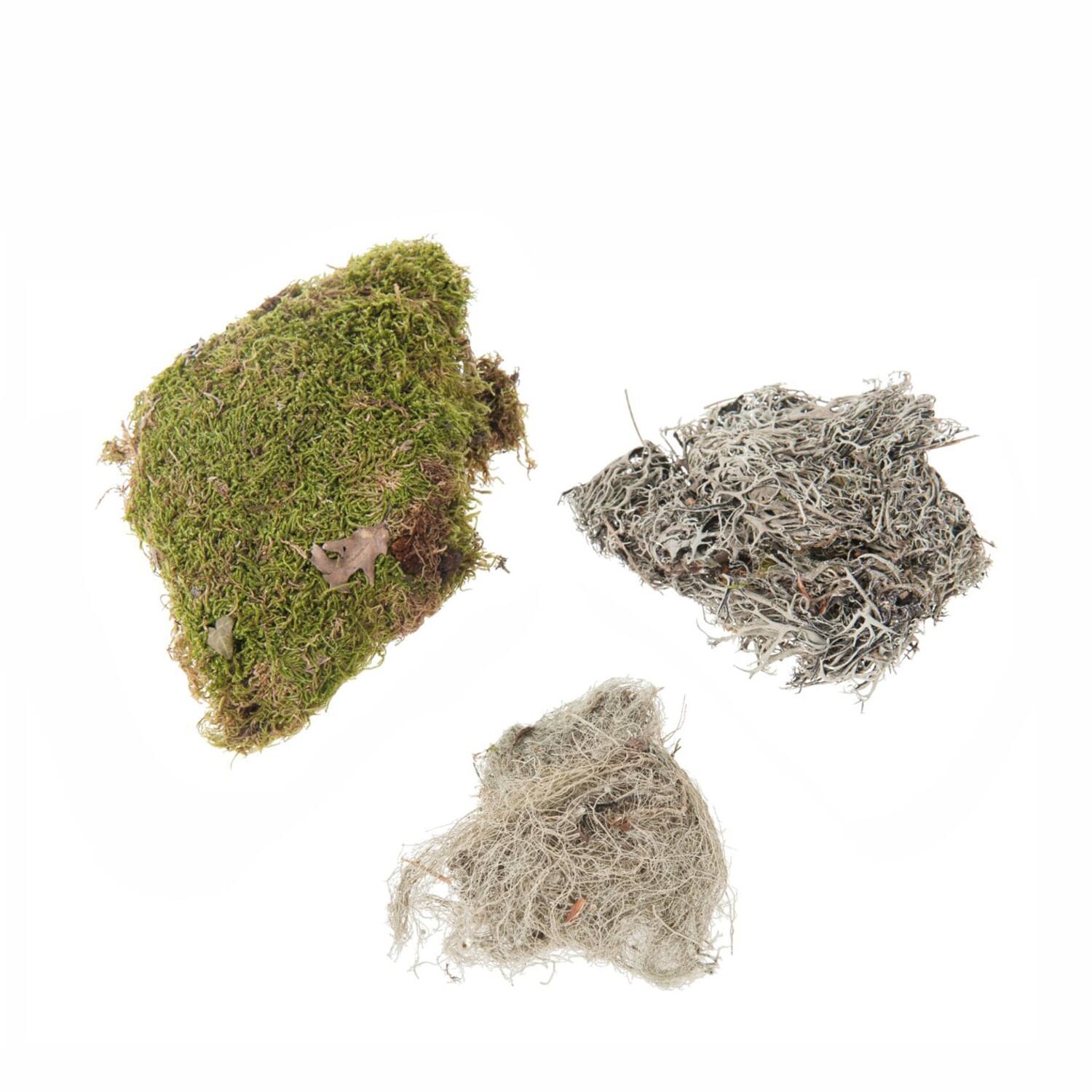 Moss mix 100gr nature 30x21x9cm