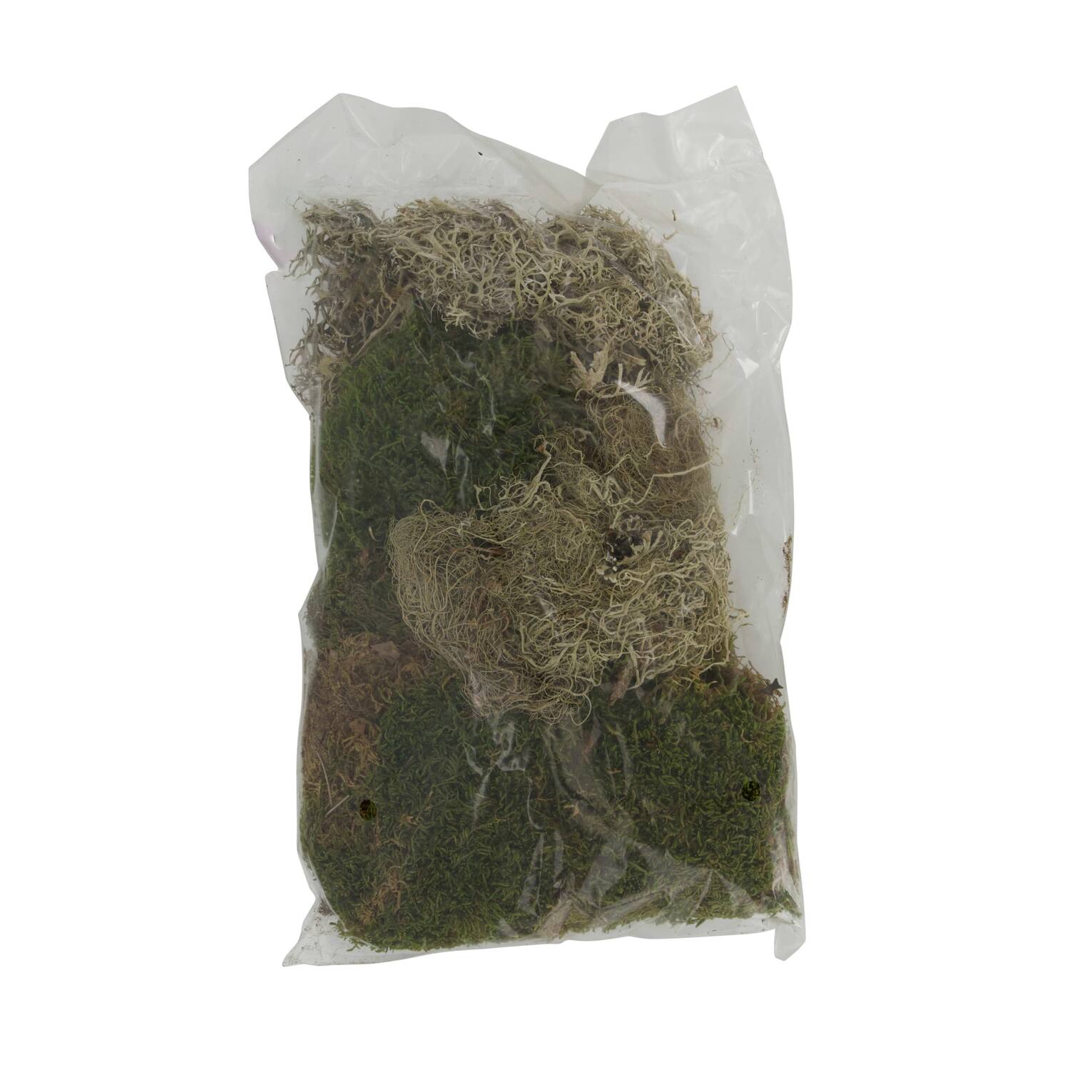 Moss mix 100gr nature 30x21x9cm