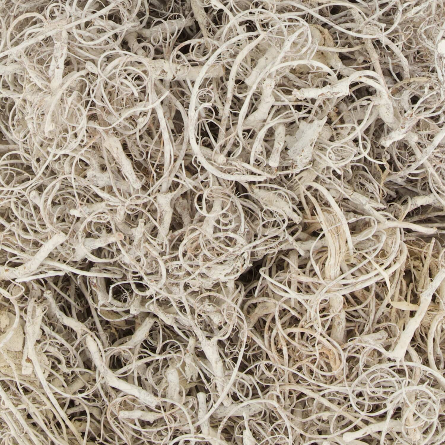 Moss curly 500gr nature 10x7x21cm