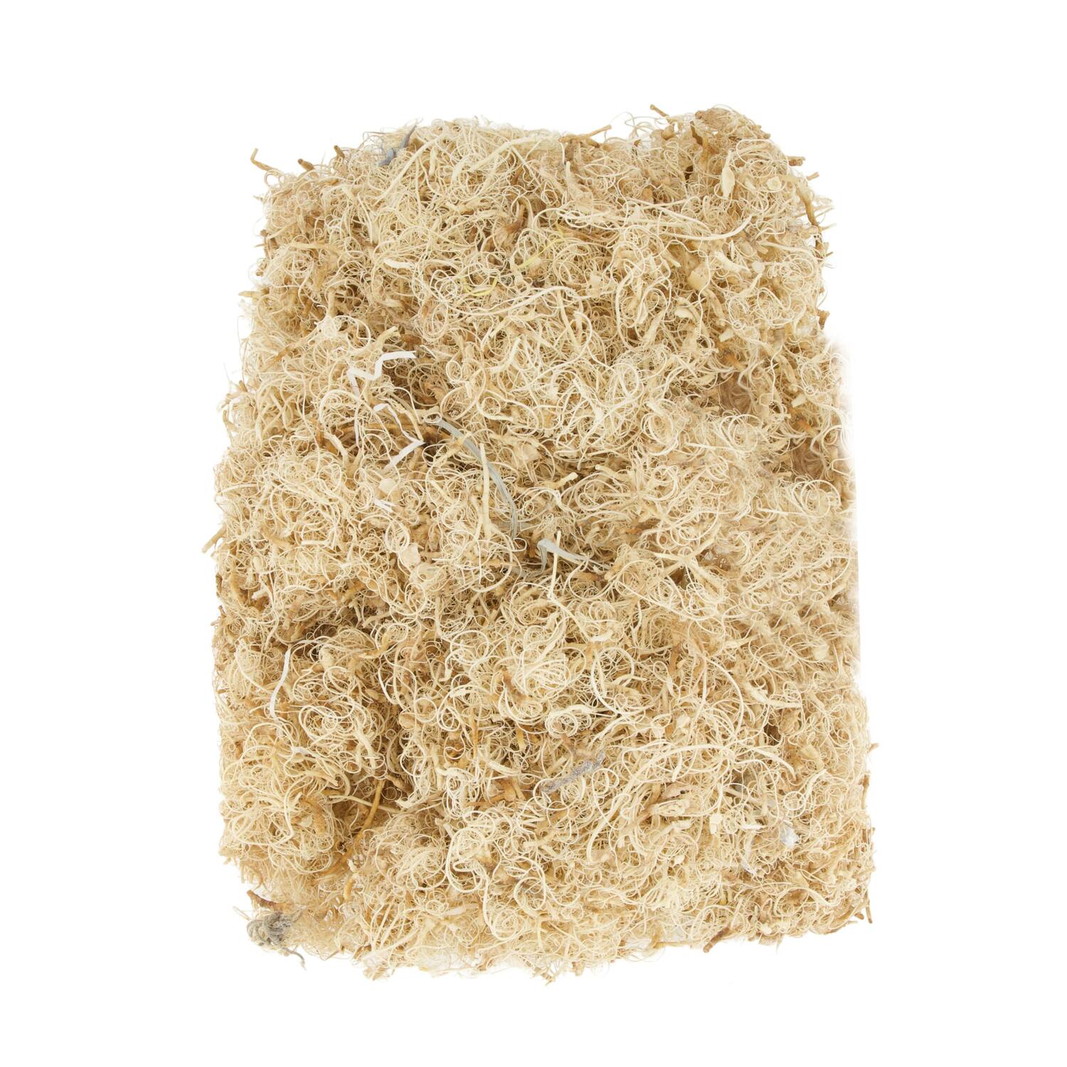 Moss curly 500gr nature 10x7x21cm - White