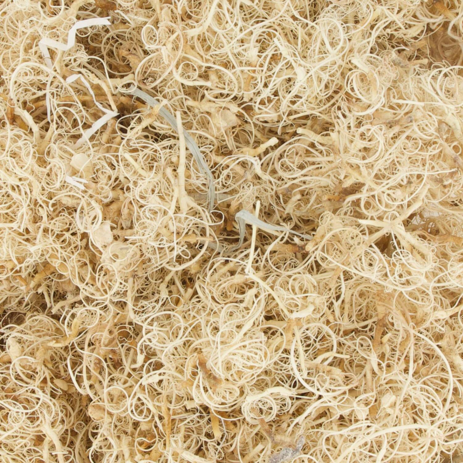 Moss curly 500gr nature 10x7x21cm - White
