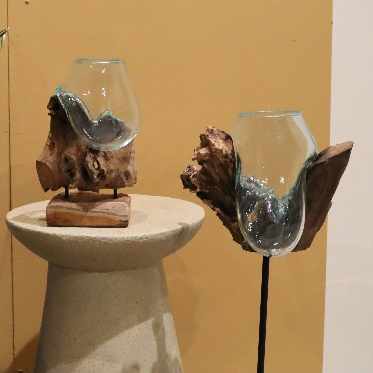 Root teak wood with glass 60x45x92cm - Natural