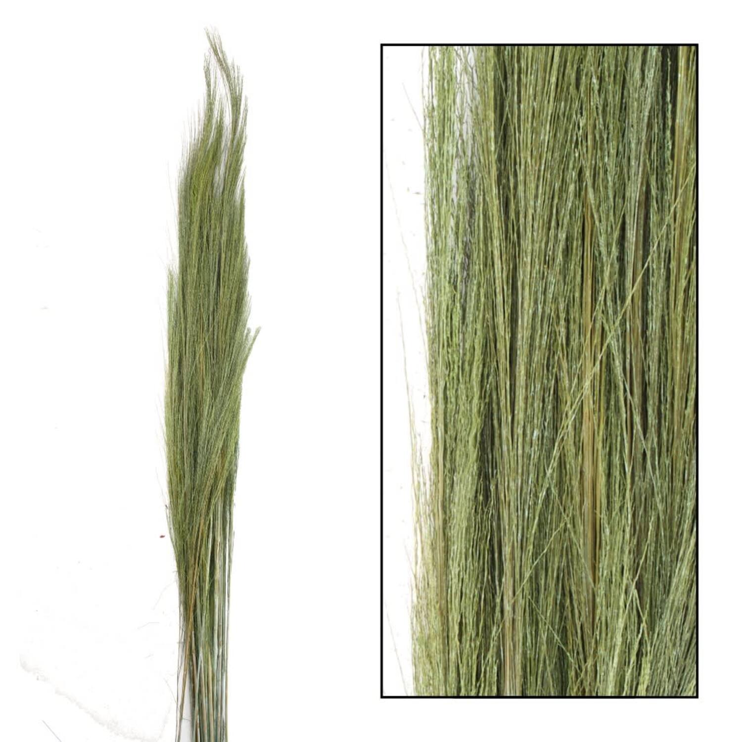 Broom grass nature 90-105cm 100gr