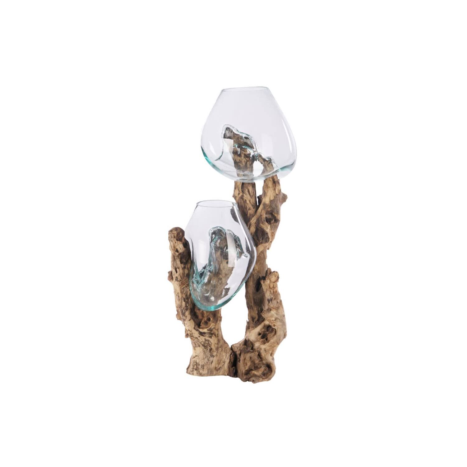 Root gamal wood with glass 21x20x77cm