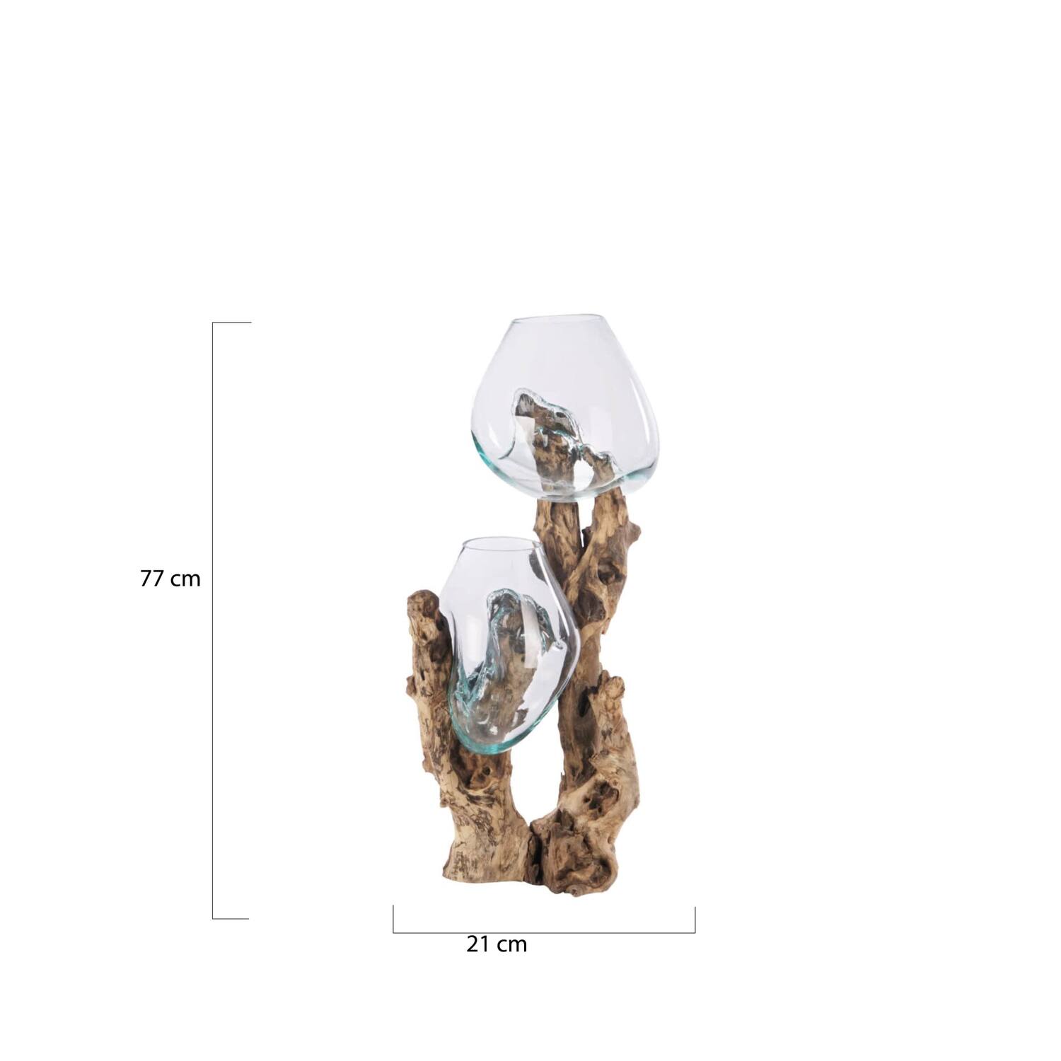 Root gamal wood with glass 21x20x77cm
