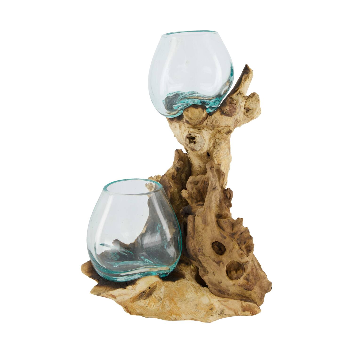Root gamal wood with glass 20x12x30cm