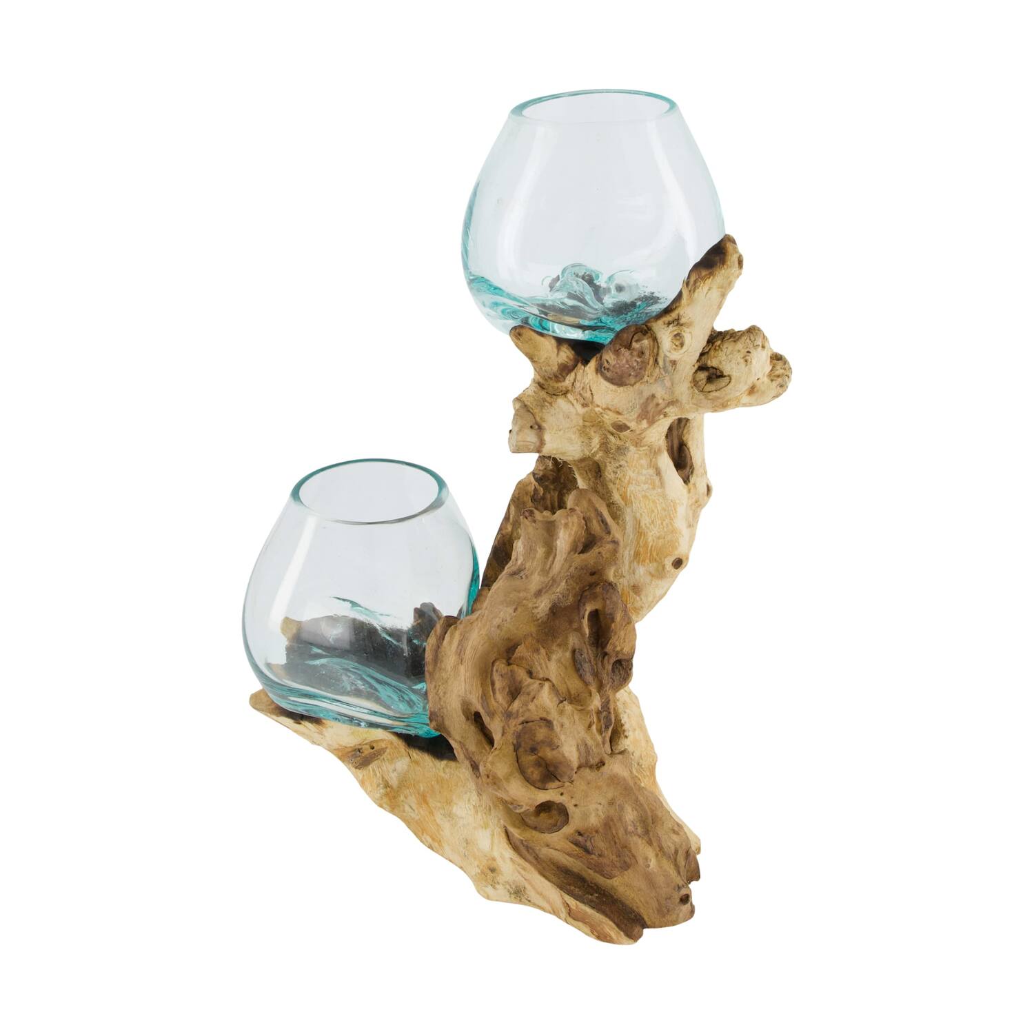 Root gamal wood with glass 20x12x30cm