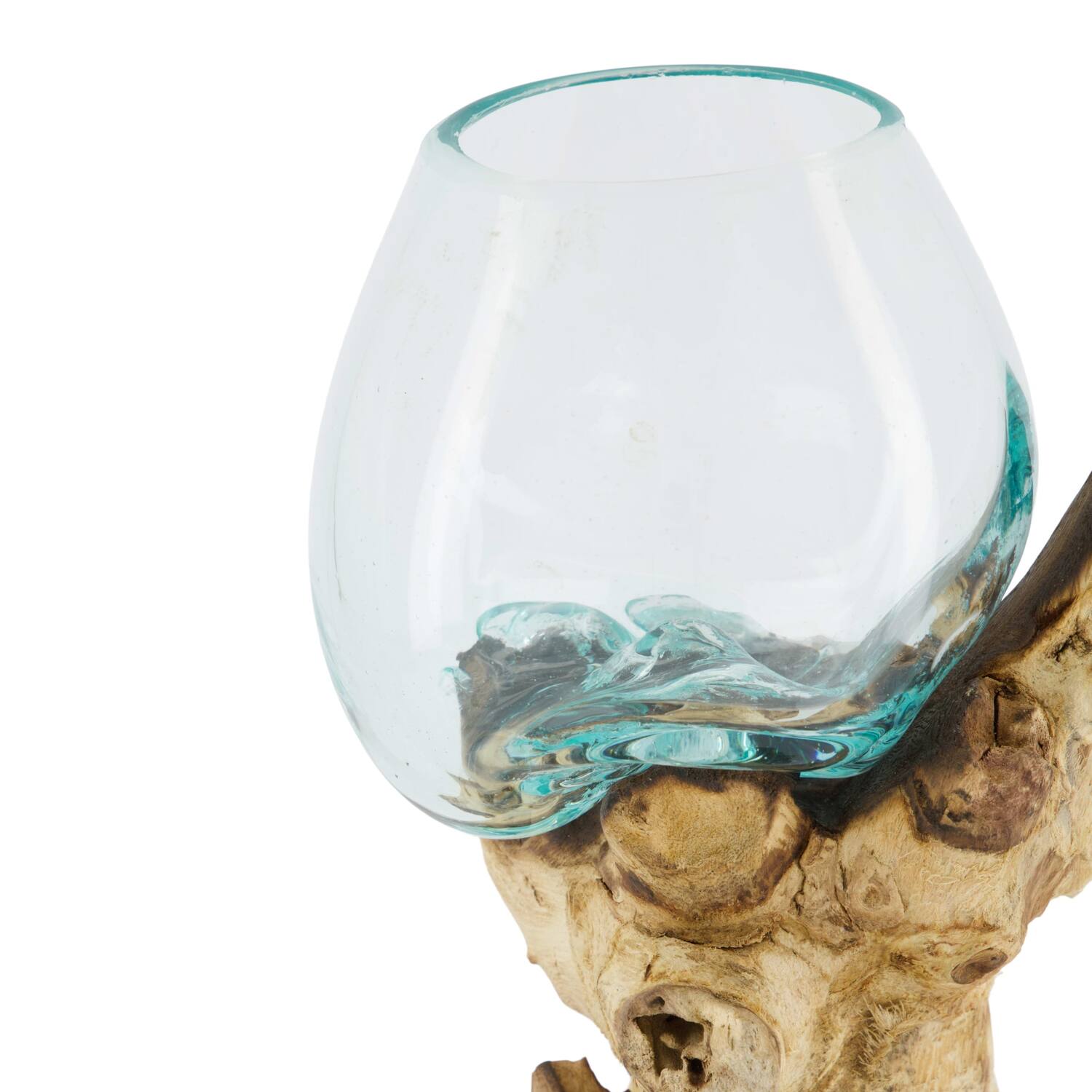 Root gamal wood with glass 20x12x30cm