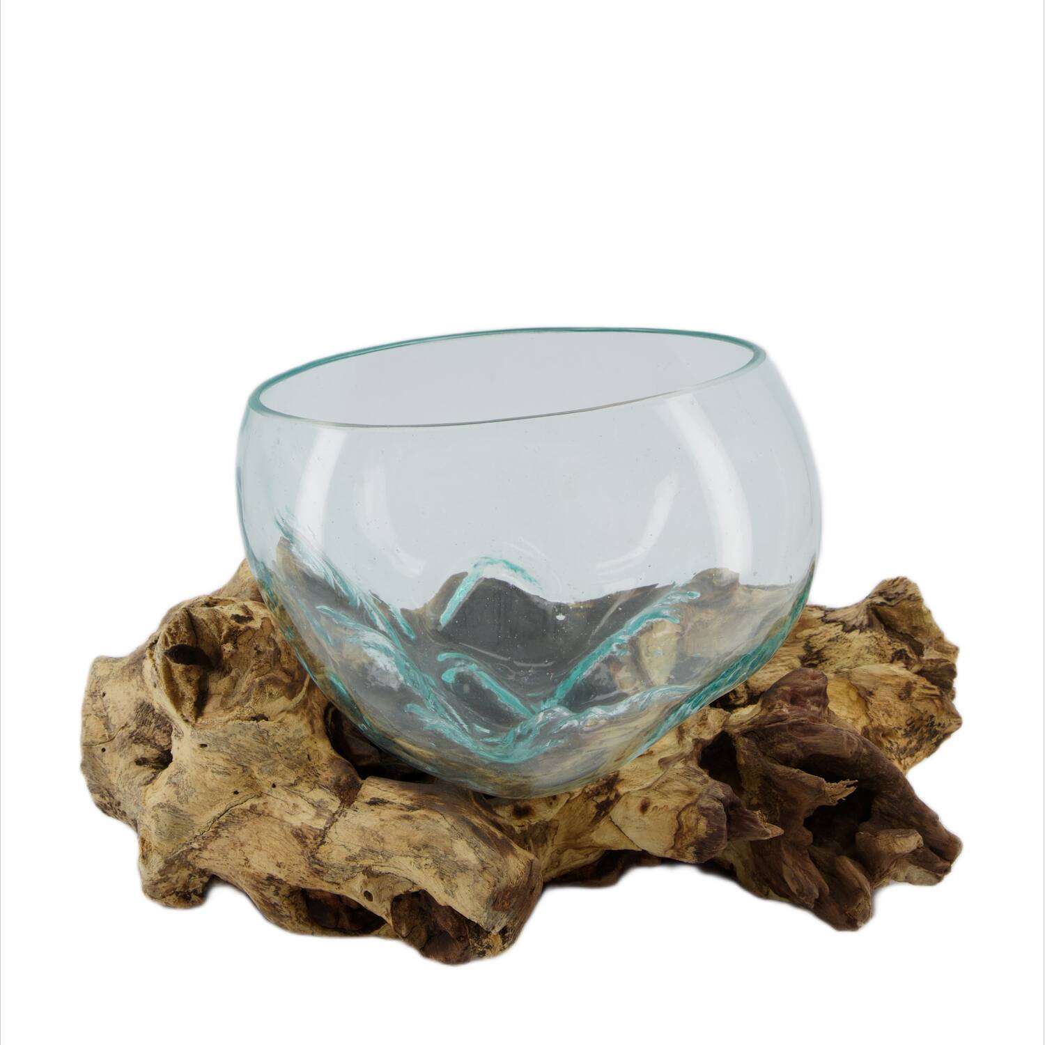 Root gamal wood with glass 33x23x18cm