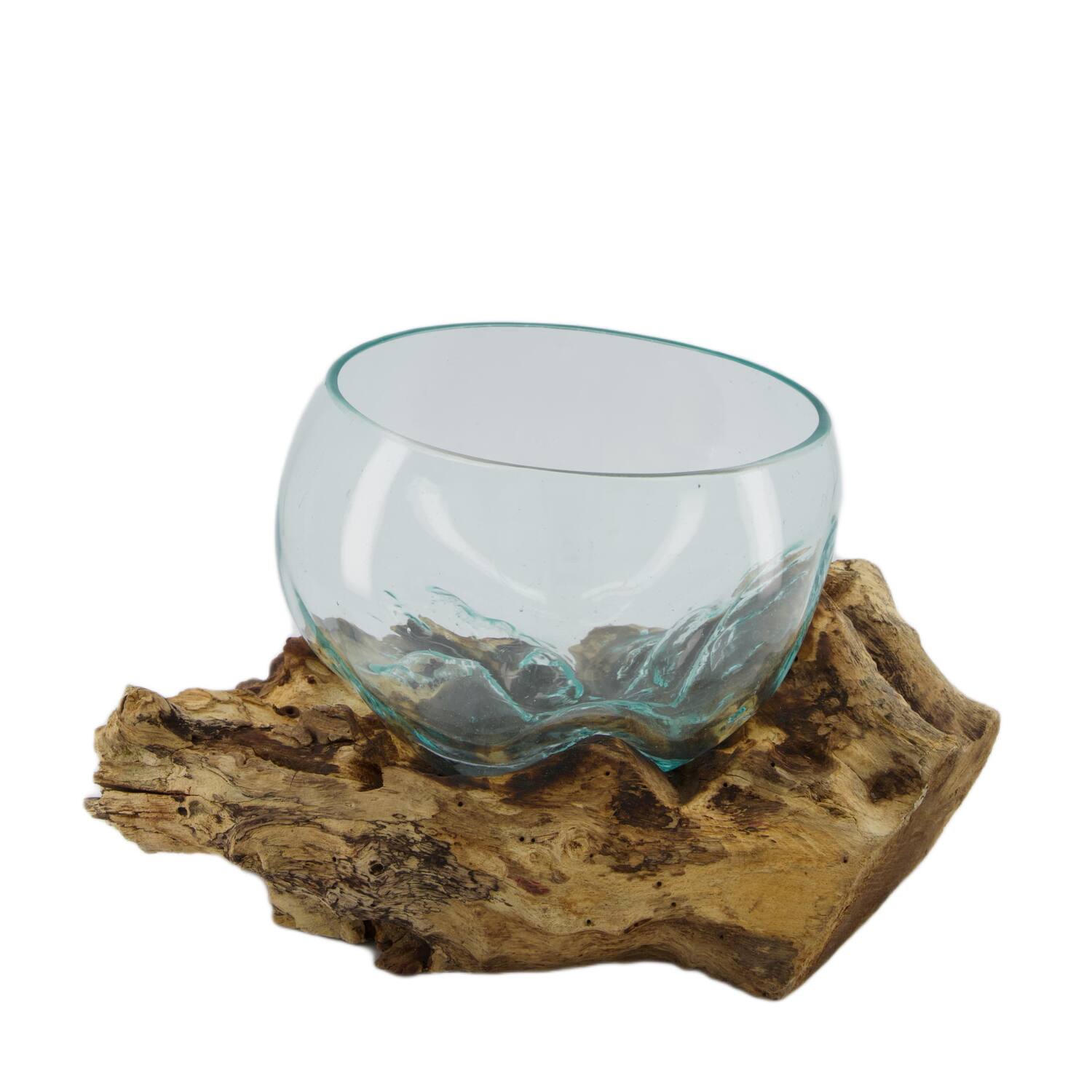 Root gamal wood with glass 33x23x18cm