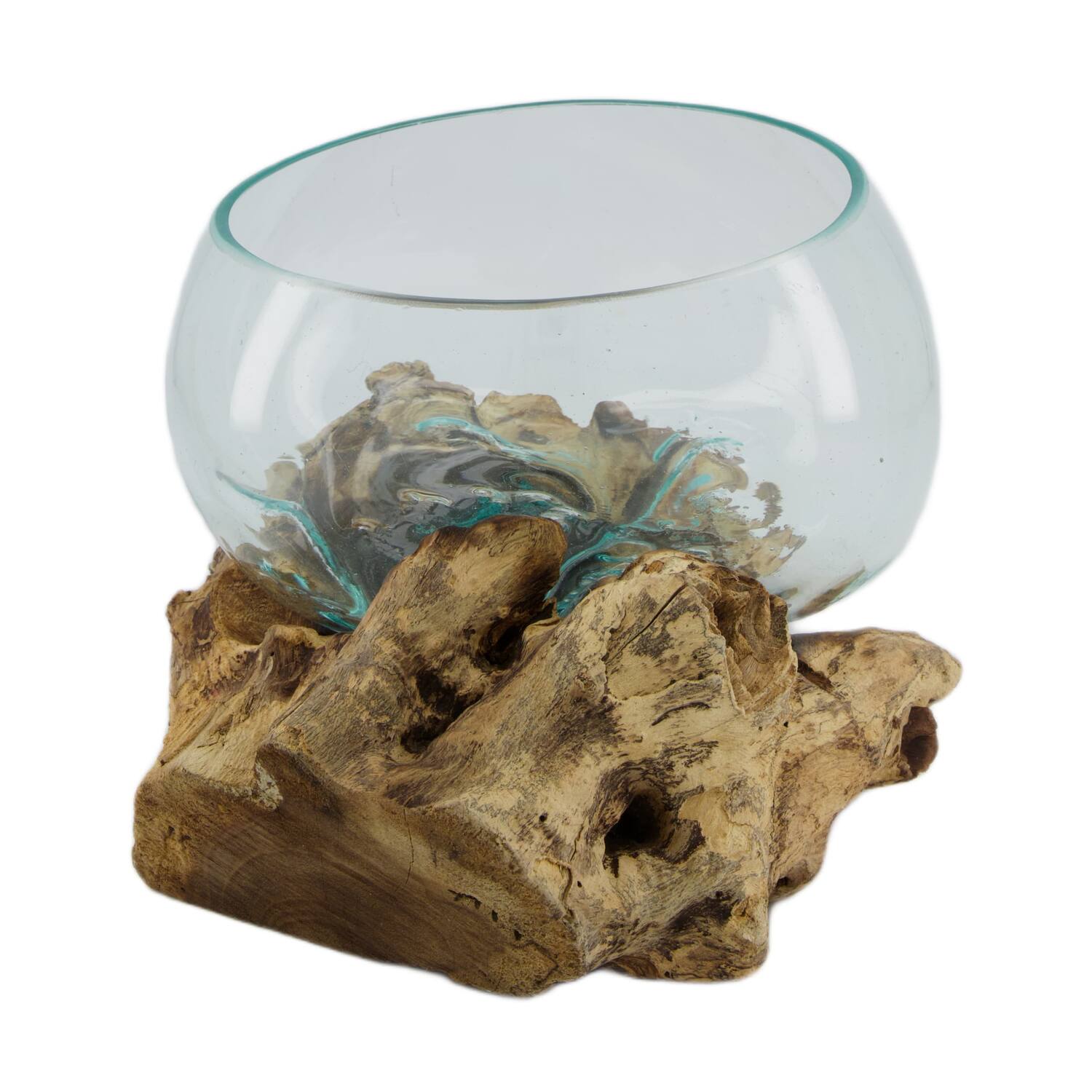 Root gamal wood with glass 33x23x18cm