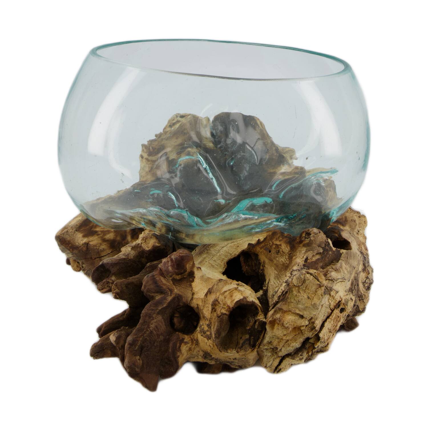 Root gamal wood with glass 33x23x18cm