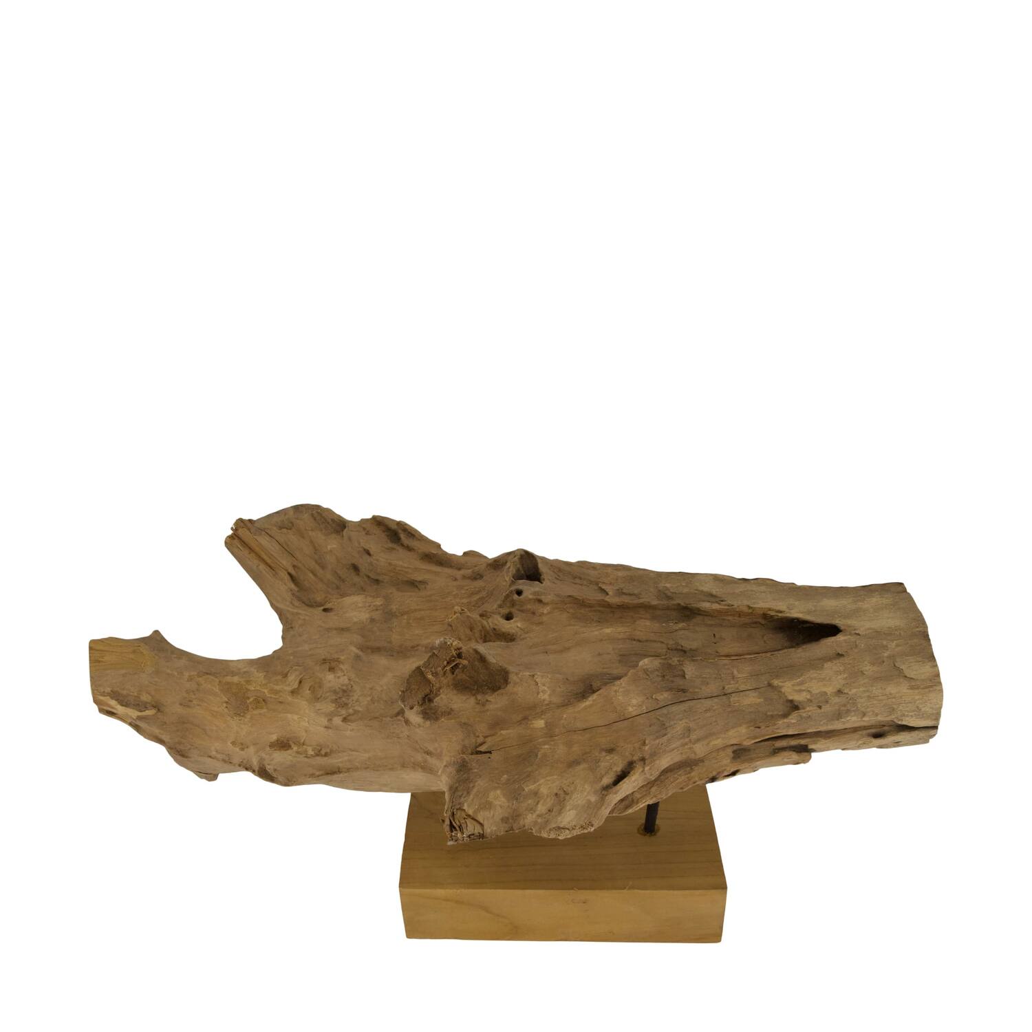 Root teak wood on stand 58x14x30cm