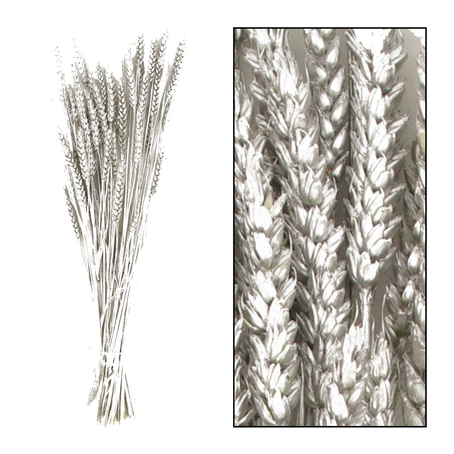 Bunch triticum nature 70x10x5cm