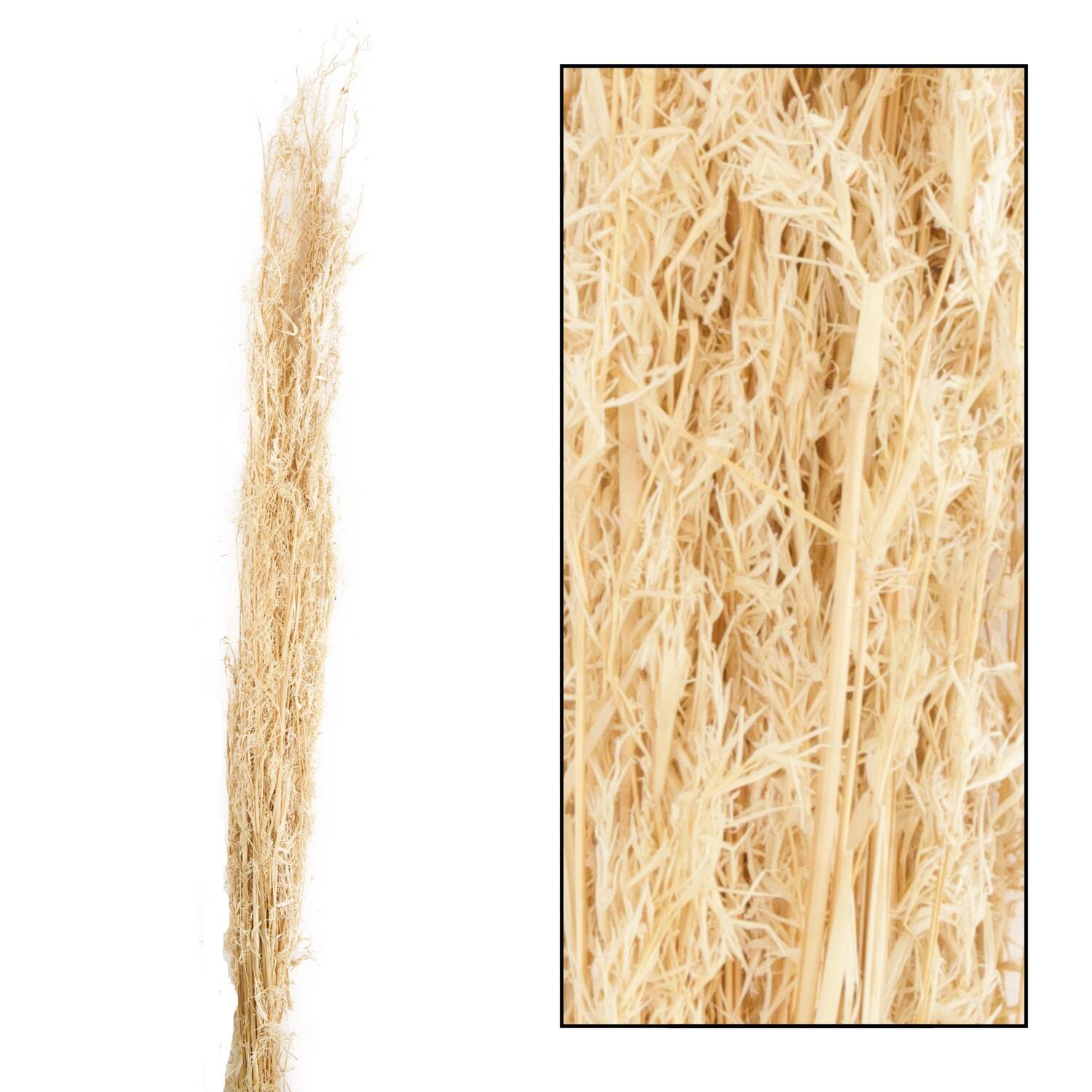 Alfonso grass nature 100cm 100gr
