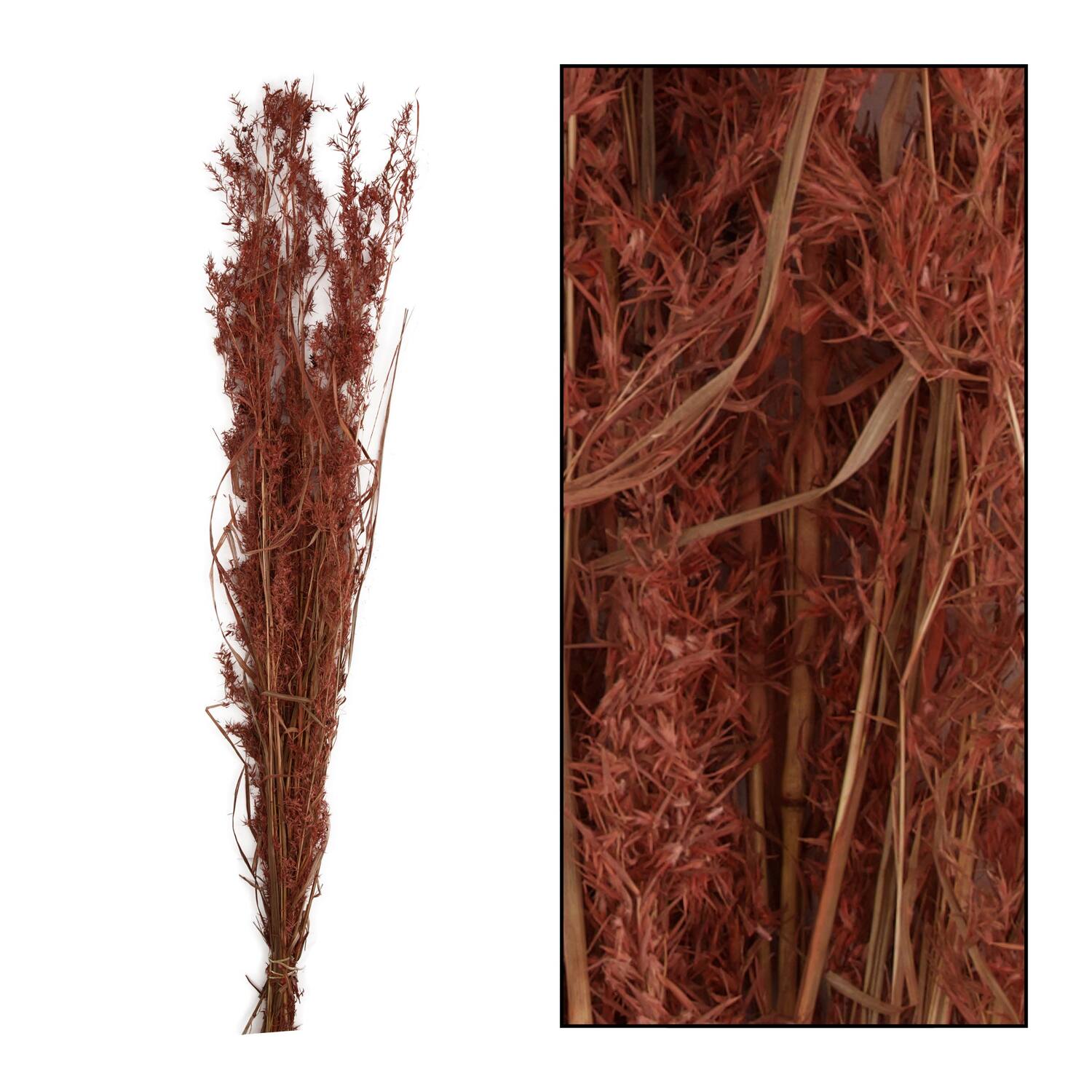 Alfonso grass nature 100cm 100gr