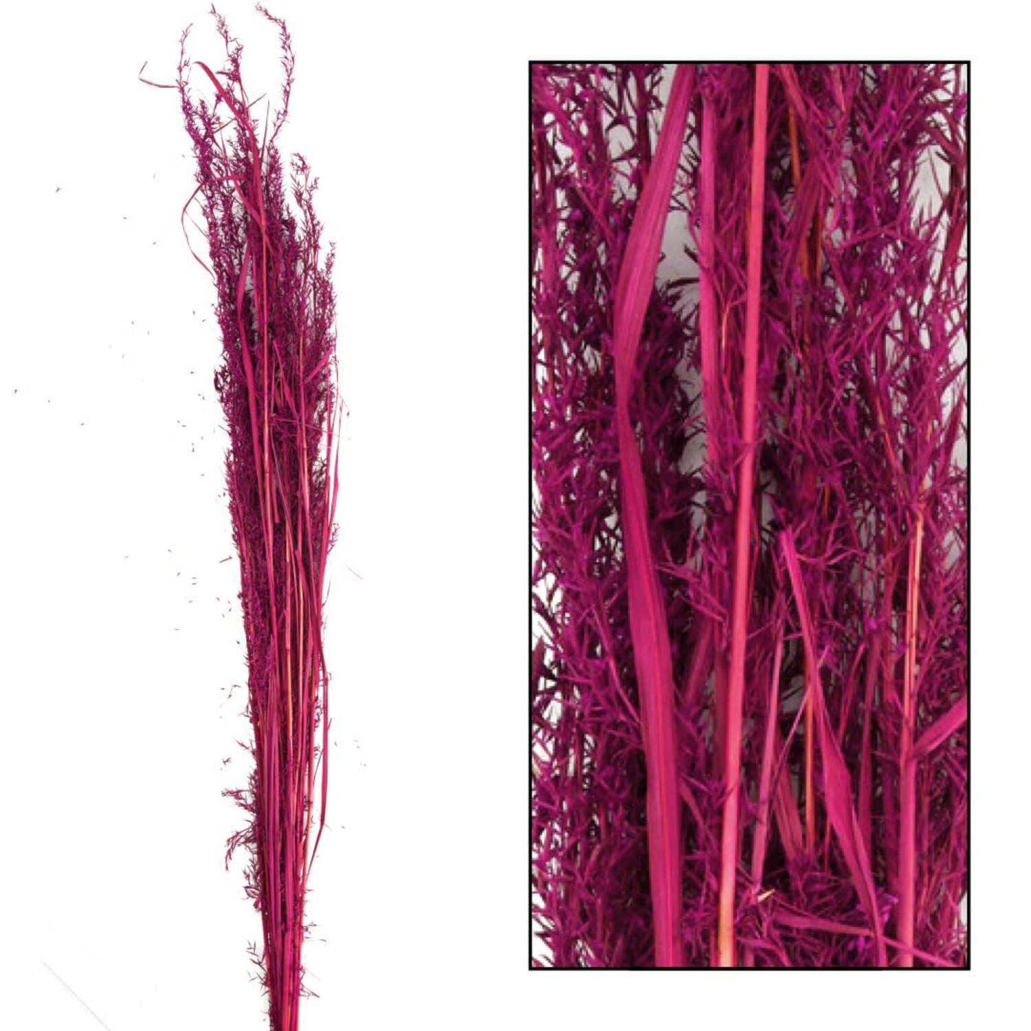 Alfonso grass nature 100cm 100gr - Red