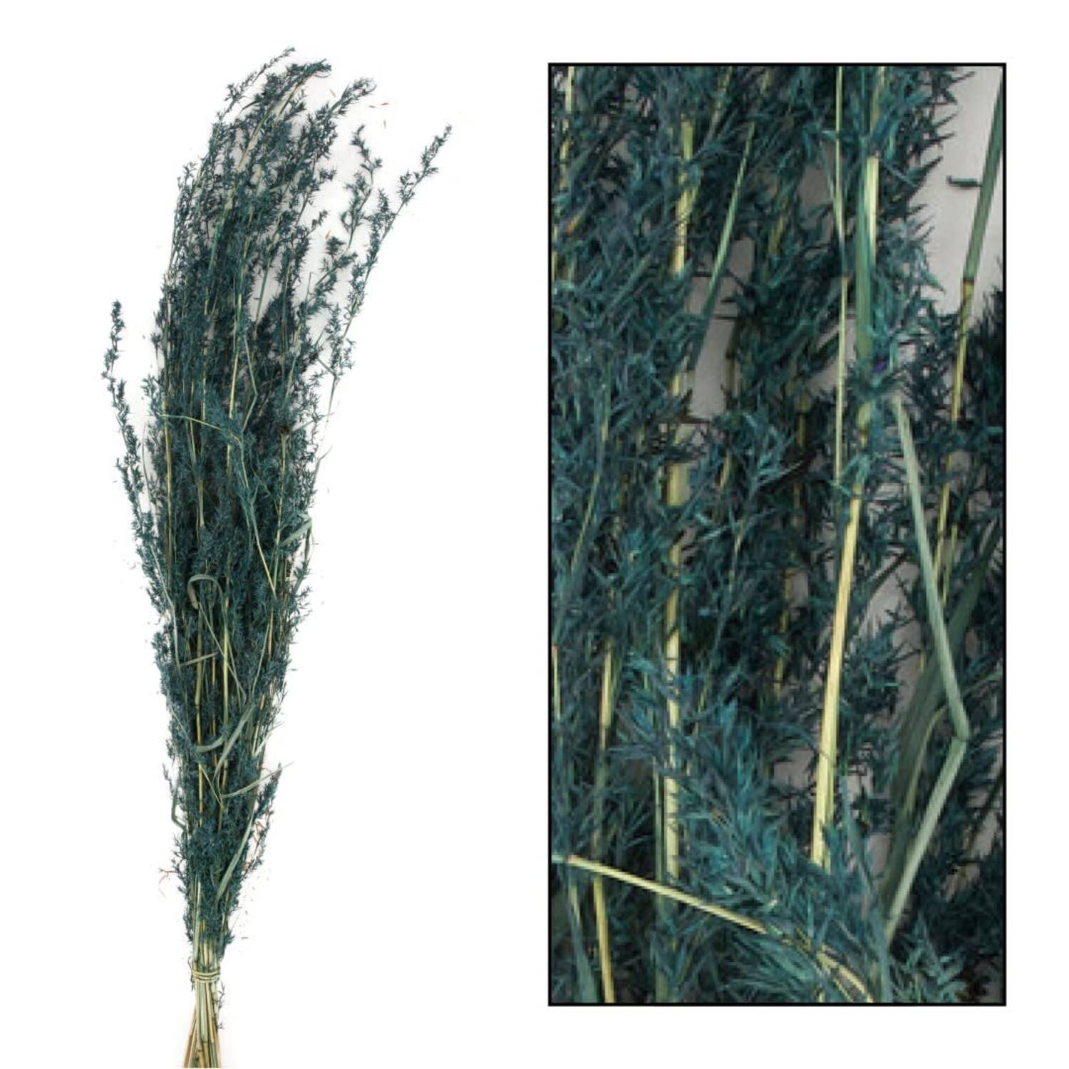 Alfonso grass nature 100gr