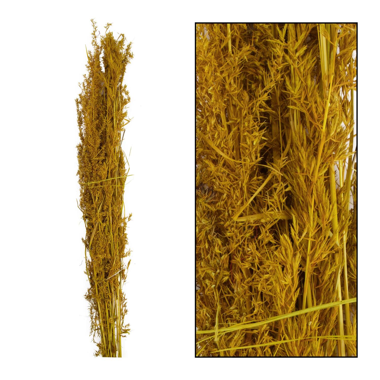 Alfonso grass nature 100cm 100gr - Yellow
