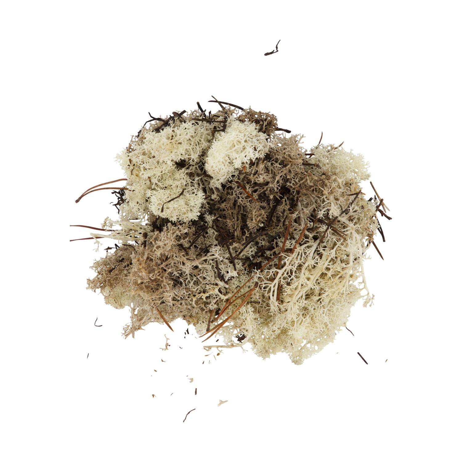 Moss 40gr nature 10x4x22cm
