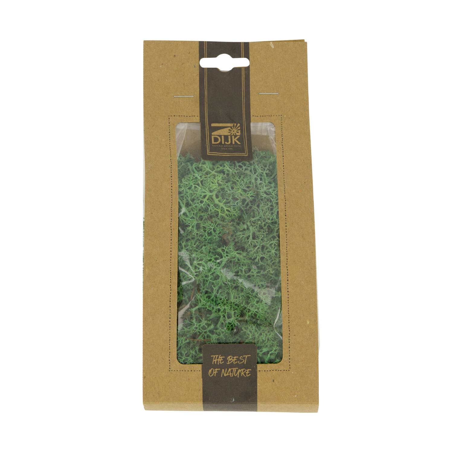 Mousse - Mousse de renne - 40gr - Naturel - 10x4x22cm - Vert