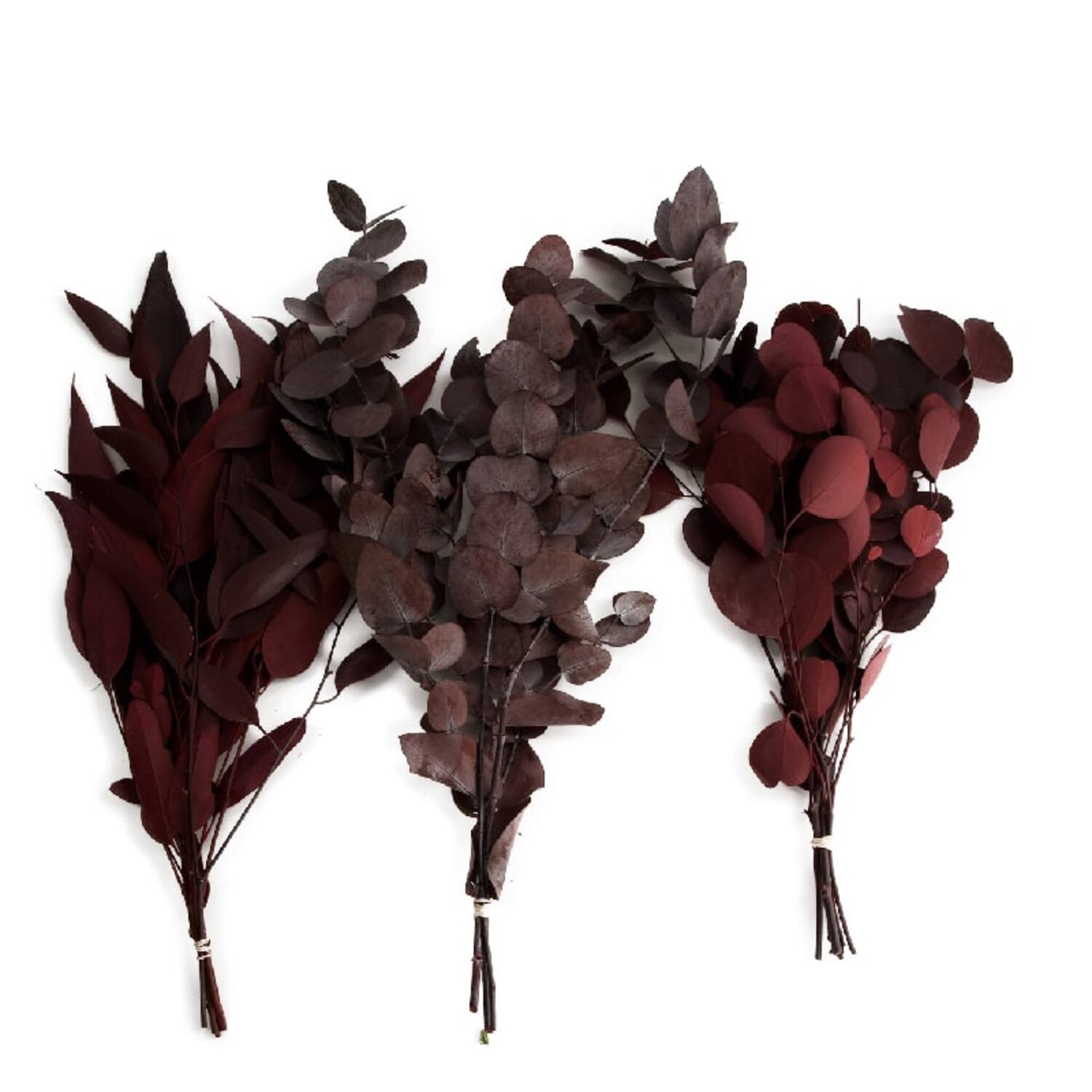 Eucalyptus bunch mix 55gr 1bunch mix box A/3