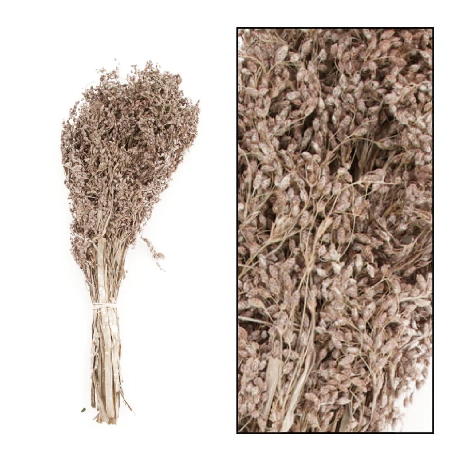 Aloha grass 45-55cm 100gr - White