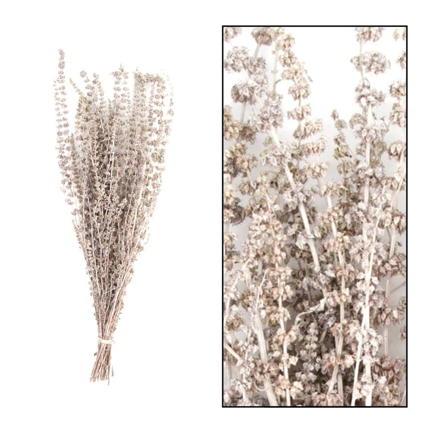 Palma grass nature 50-65cm 100gr - White