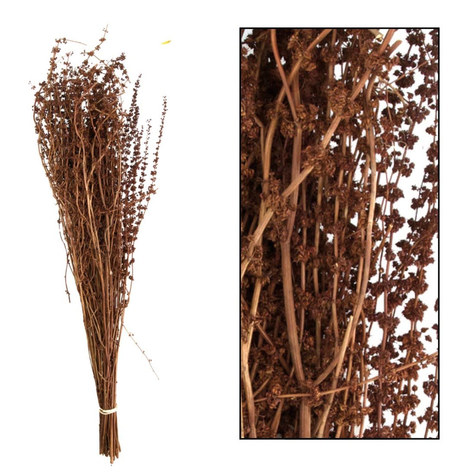 Palma grass nature 50-65cm 100gr