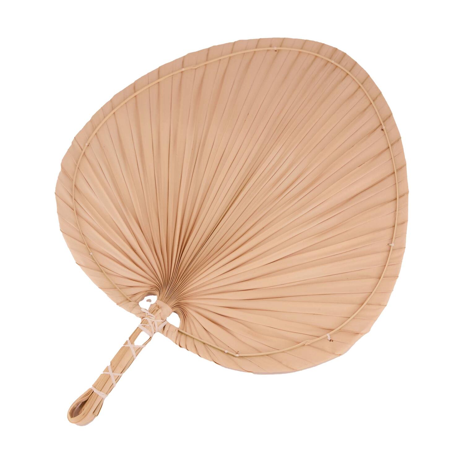 Fan palm leaf M 36x2x48cm - Natural
