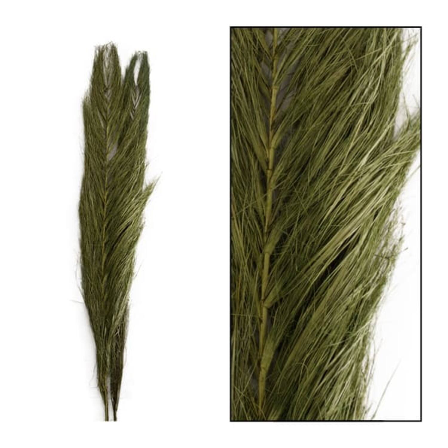 Jhat grass 90-100cm 100gr - Green