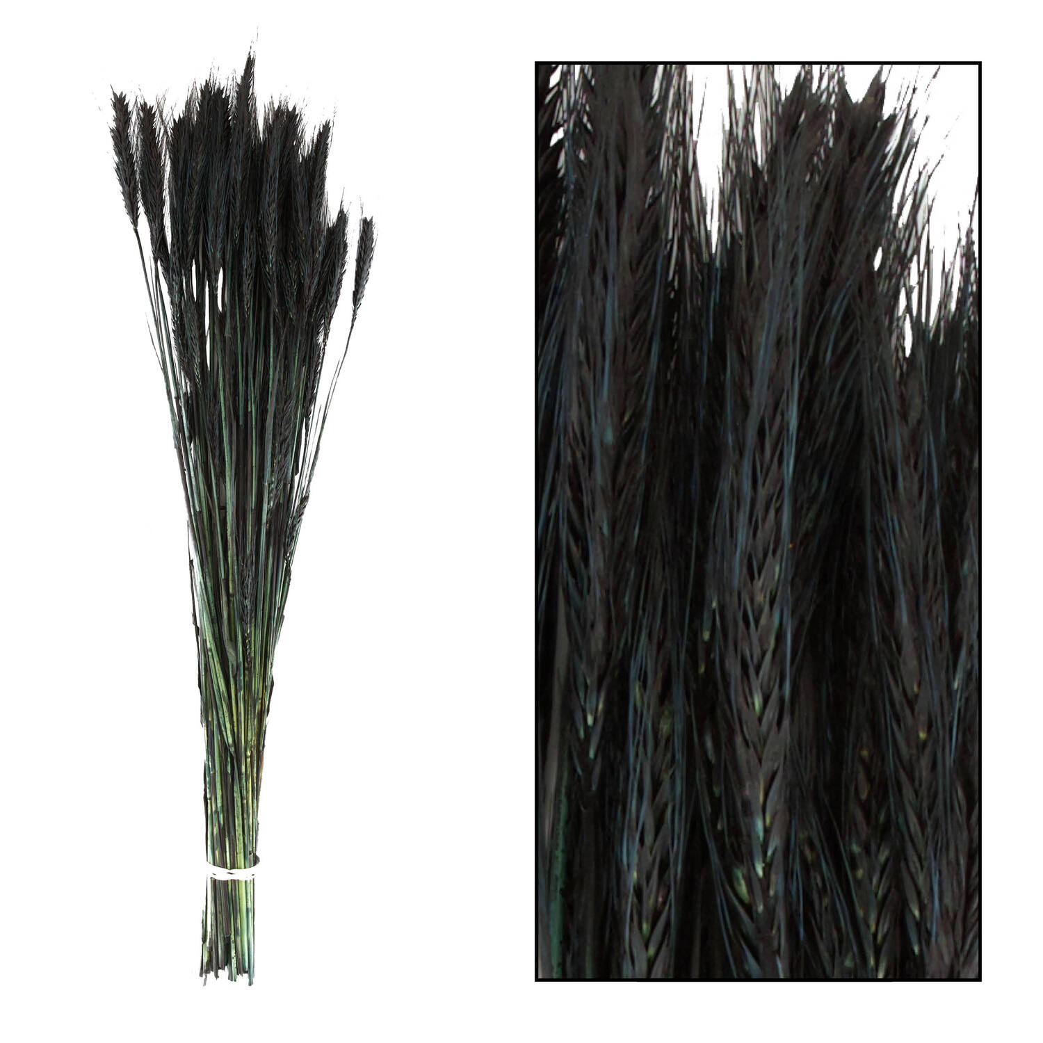 Triticale 66x16x6cm - Black