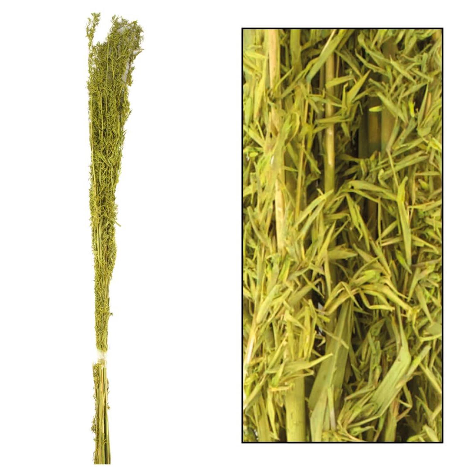 Alfonso grass 60-80cm 100gr