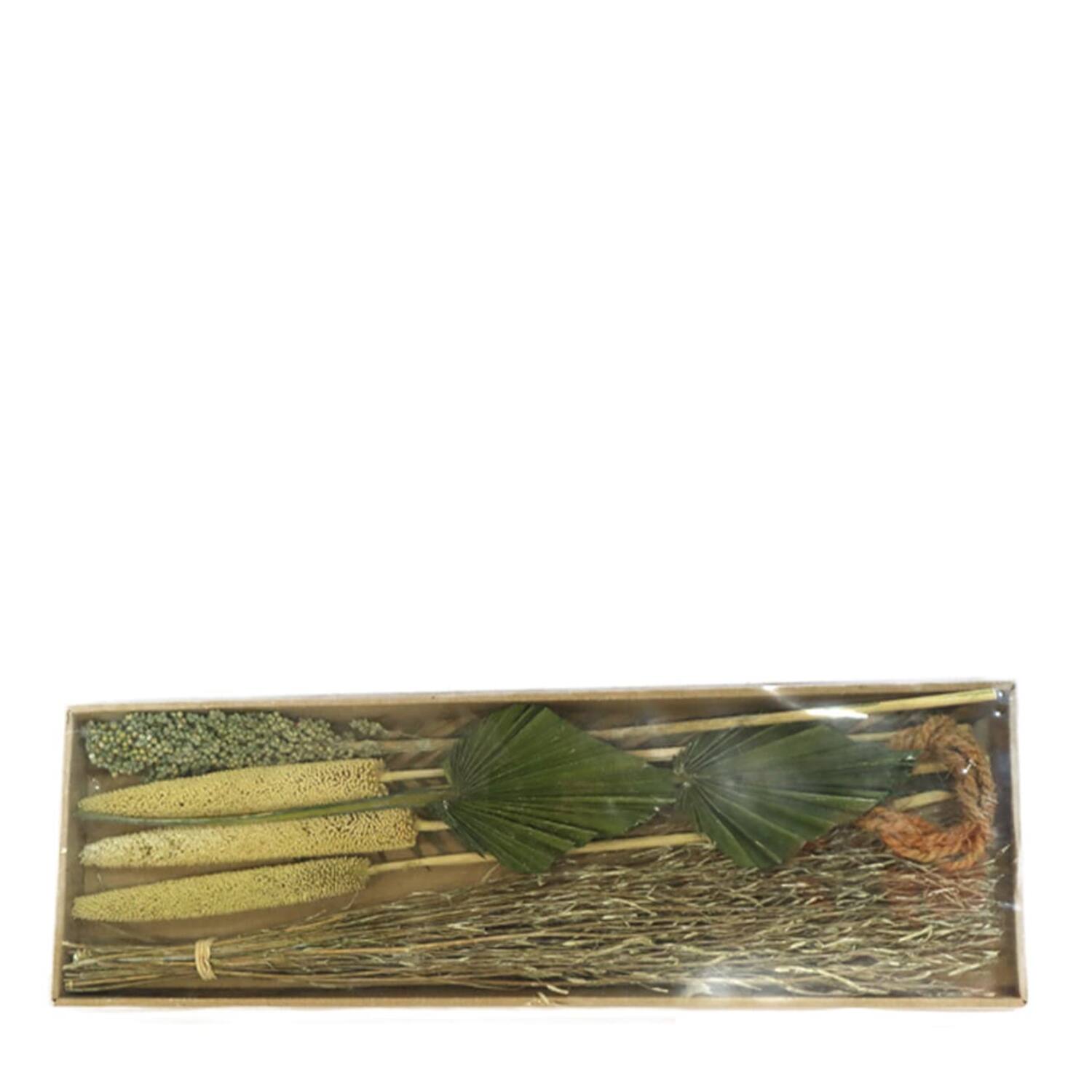 Dried flowers in tray 57x18x3cm - Green