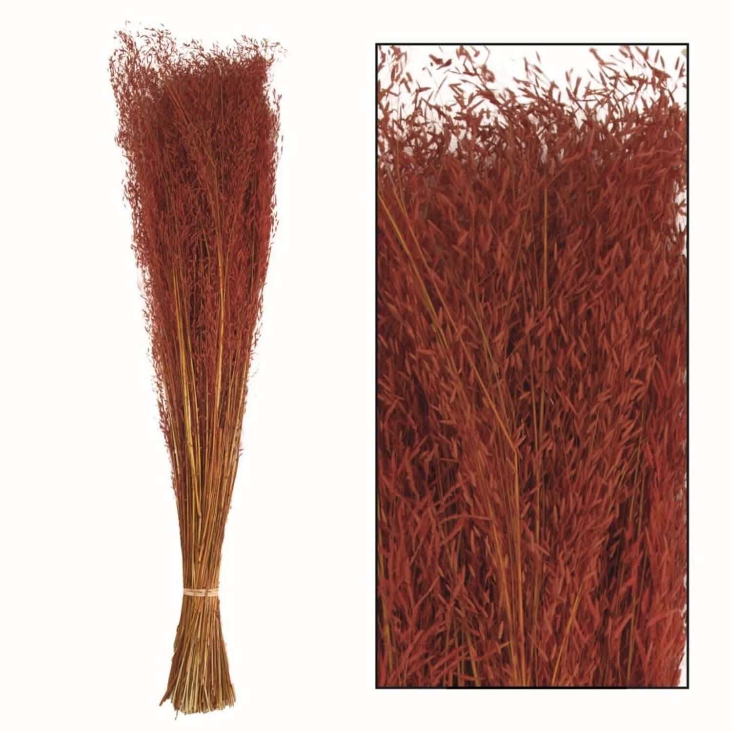 Munni grass 60-70cm 90-100gr - Orange