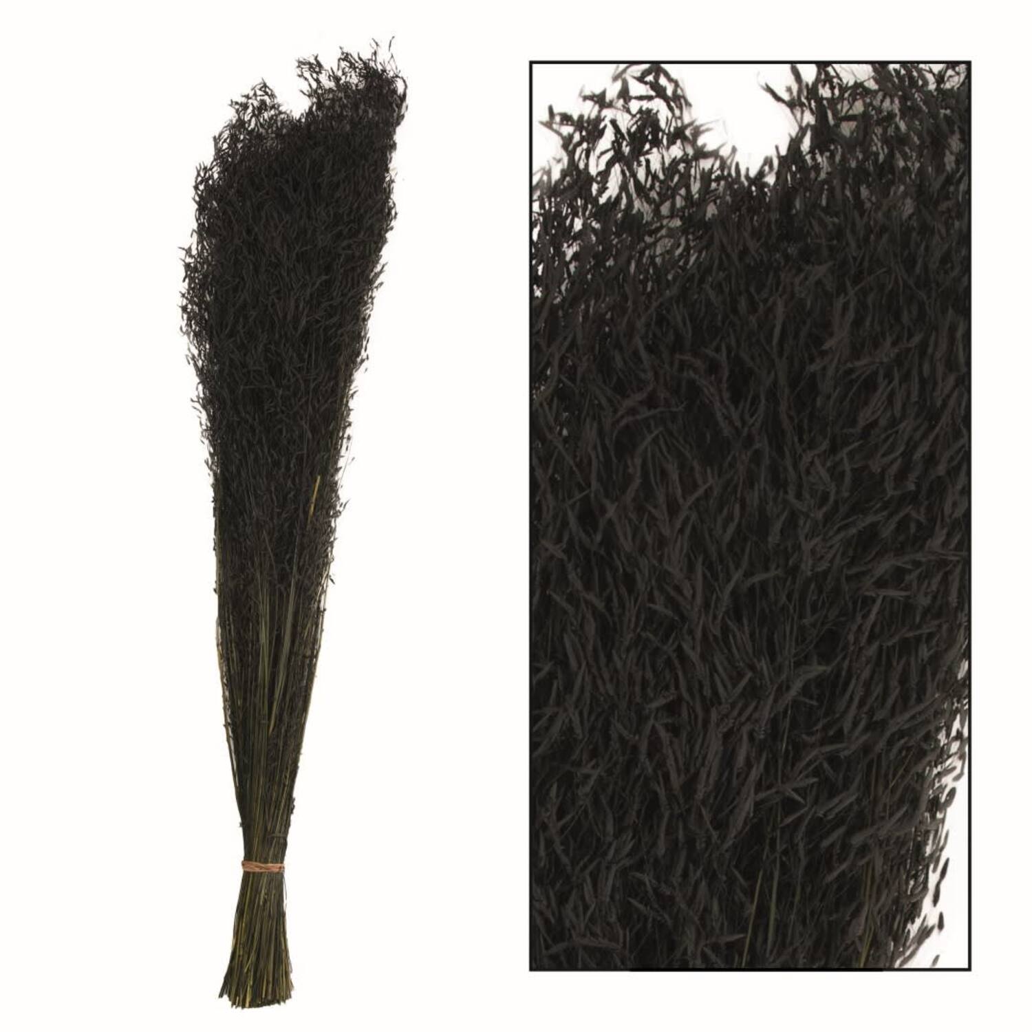 Munni grass 60-70cm 90-100gr - Black