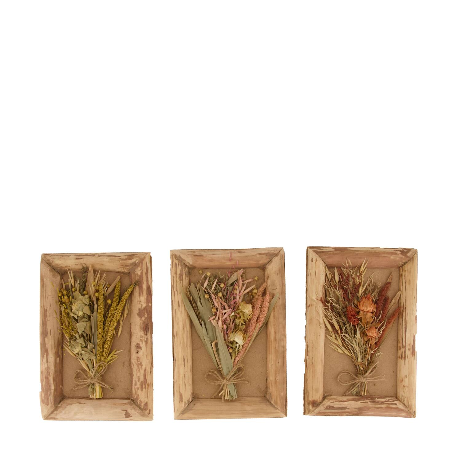 Dried flower in frame nature with hanger 27.5x18x4cm A/3