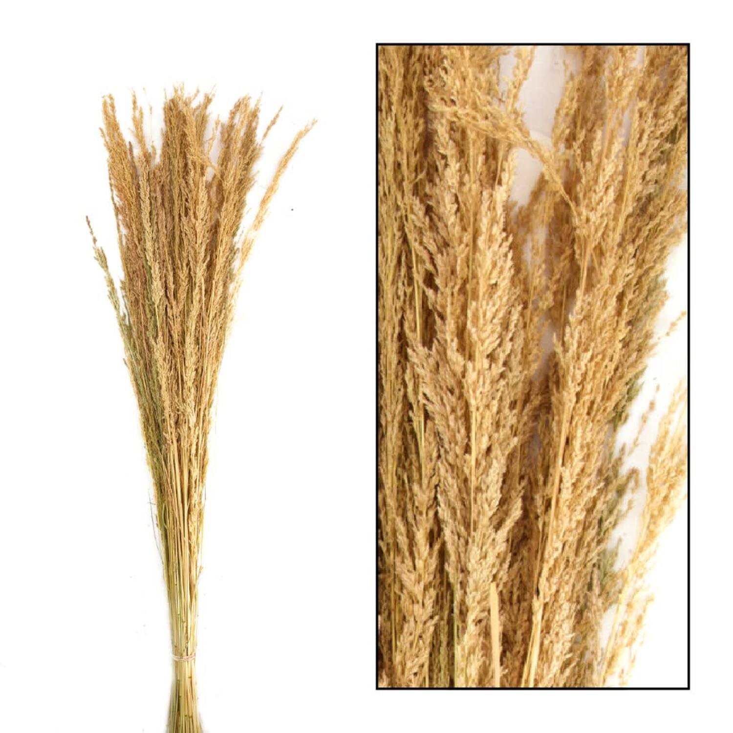 Richmond grass nature 100gr