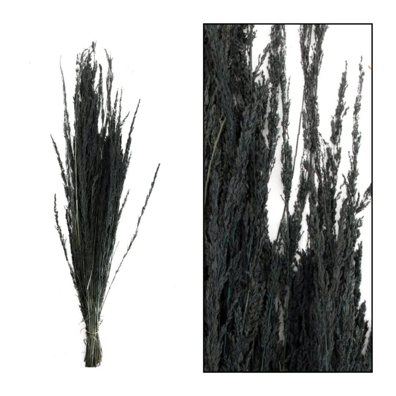 Richmond grass nature 100gr - Black